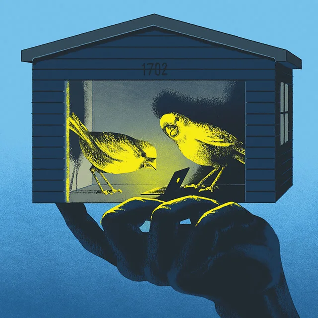 Startups Are the New Canary in the Coal Mine for Big Brands and Marketers