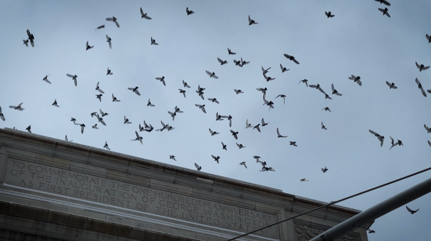 CY_ Cover editorial.png