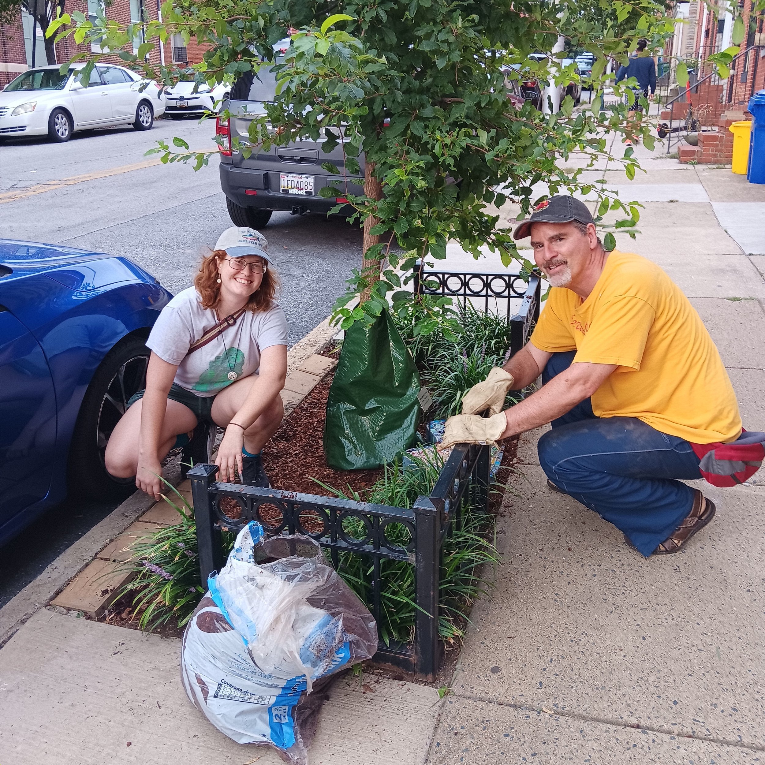Community Cleanup