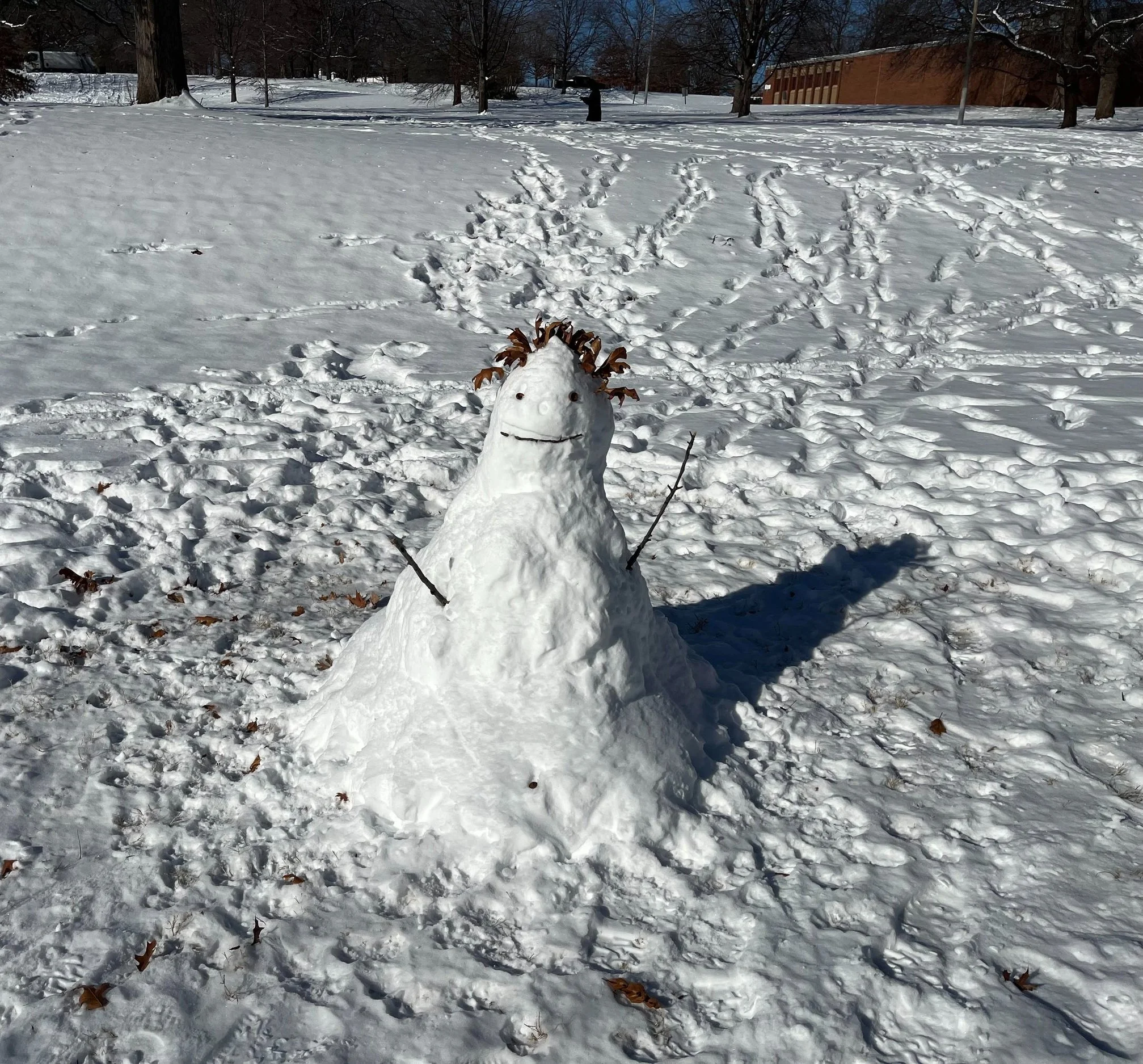 January 2025 Newsletter  