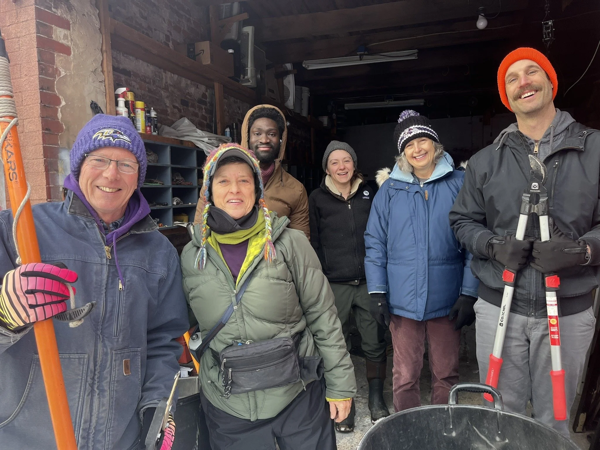 Street Tree Pruning  &amp; Cleanup  