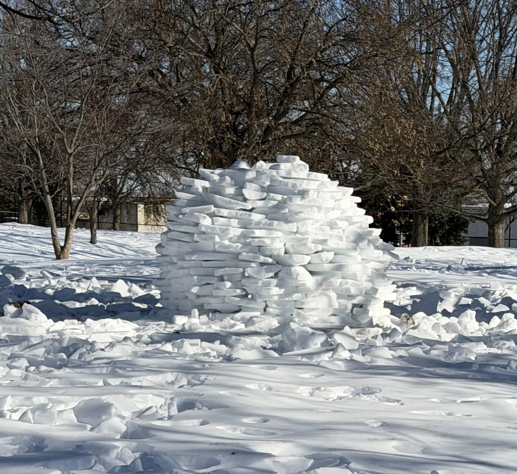 February 2026 Newsletter    