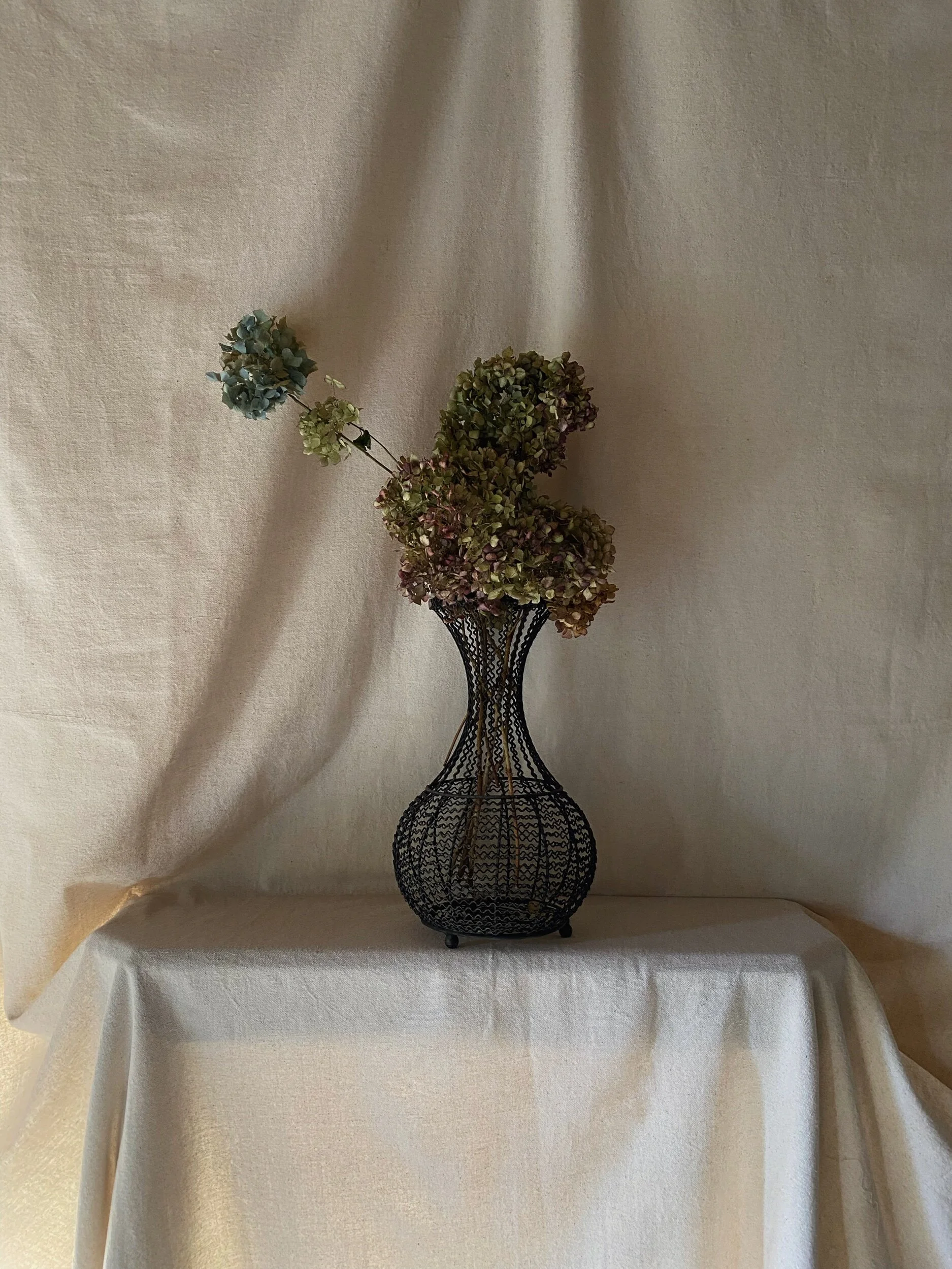 FDA7AE5A-B2F6-43C0-9E7D-363E1B7C0786