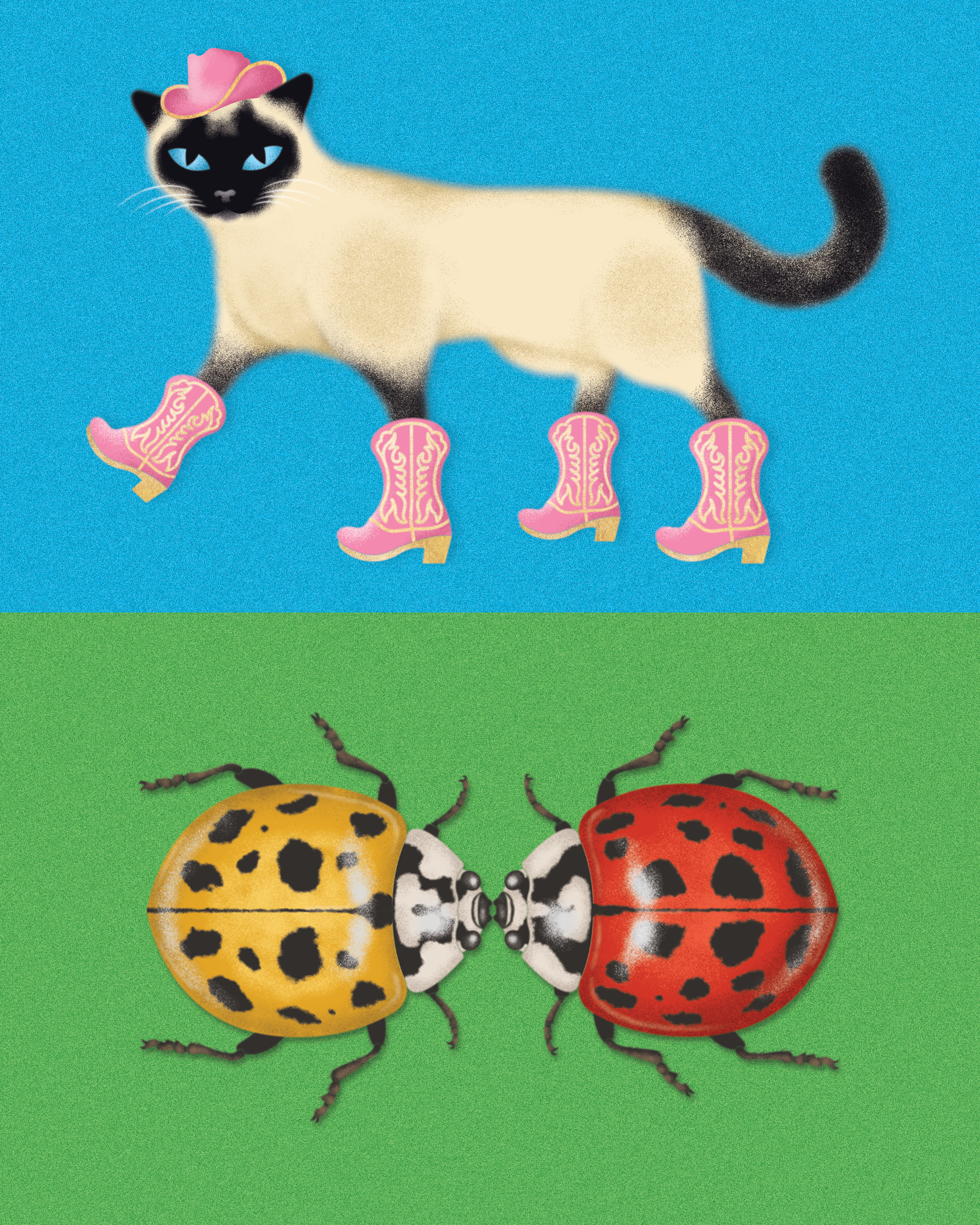 Maryann Card Illustrations_For Portfolio.png