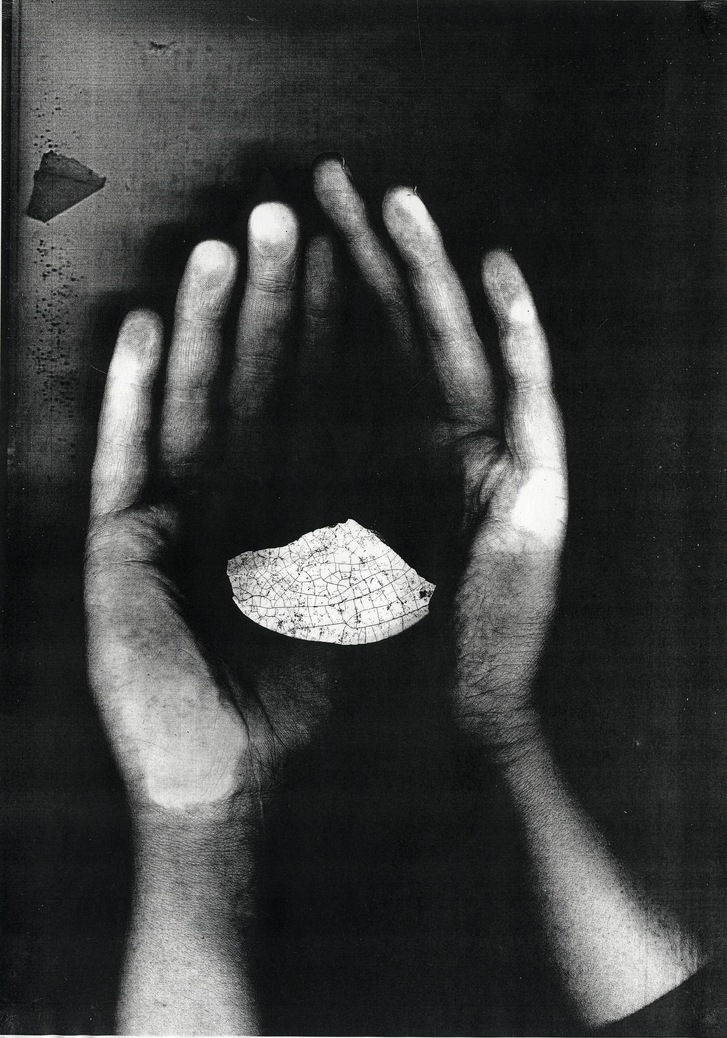 1. Photocopy Fragment.jpg