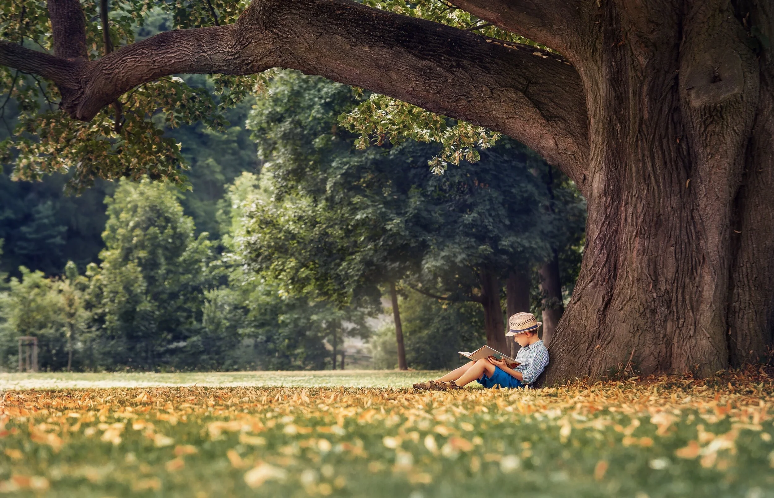 A child in a straw hat sits reading a book in the shade of a large old tree, on grass scattered with fallen leaves.