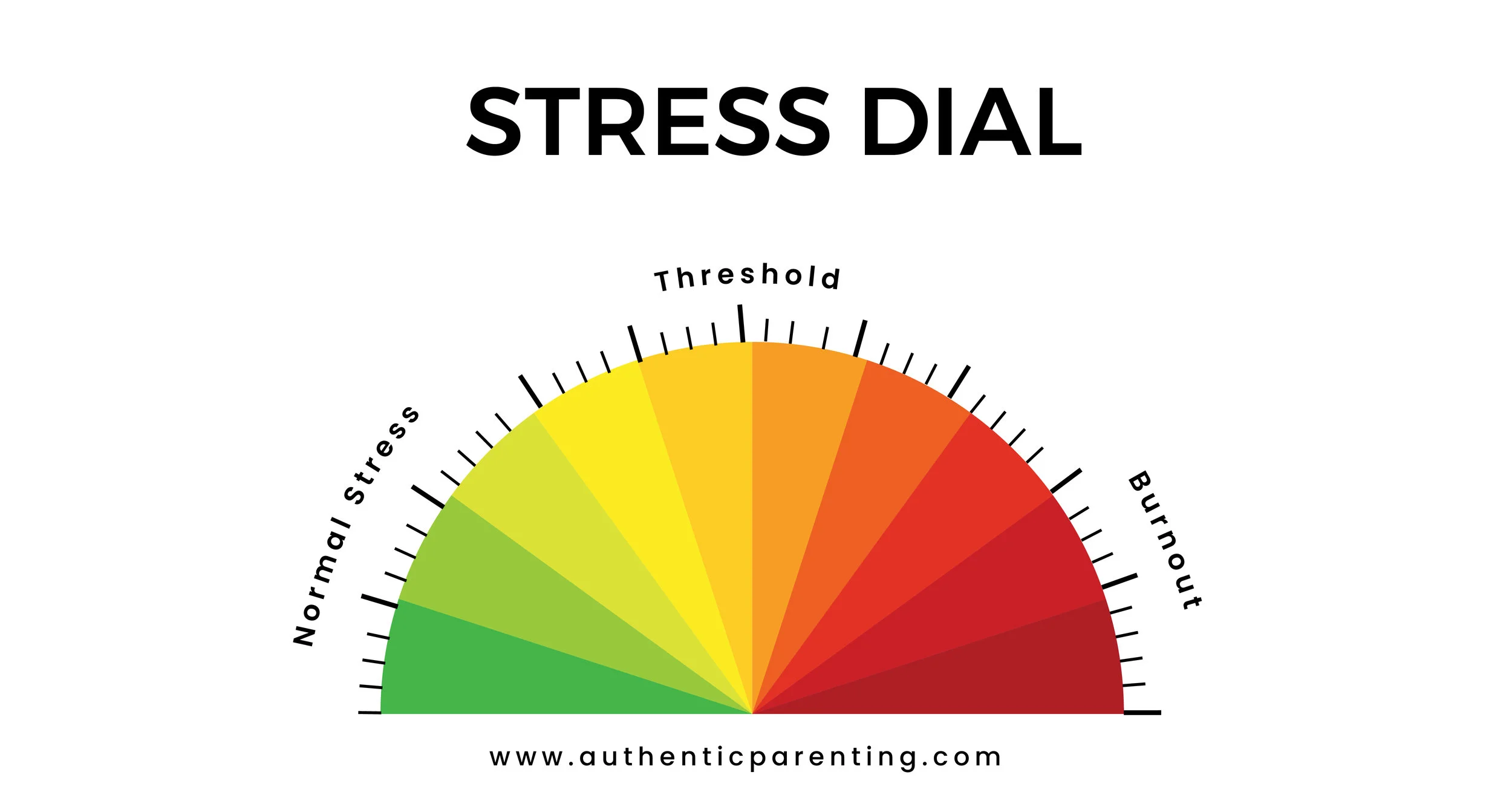 Anna Seewald Stress Dial