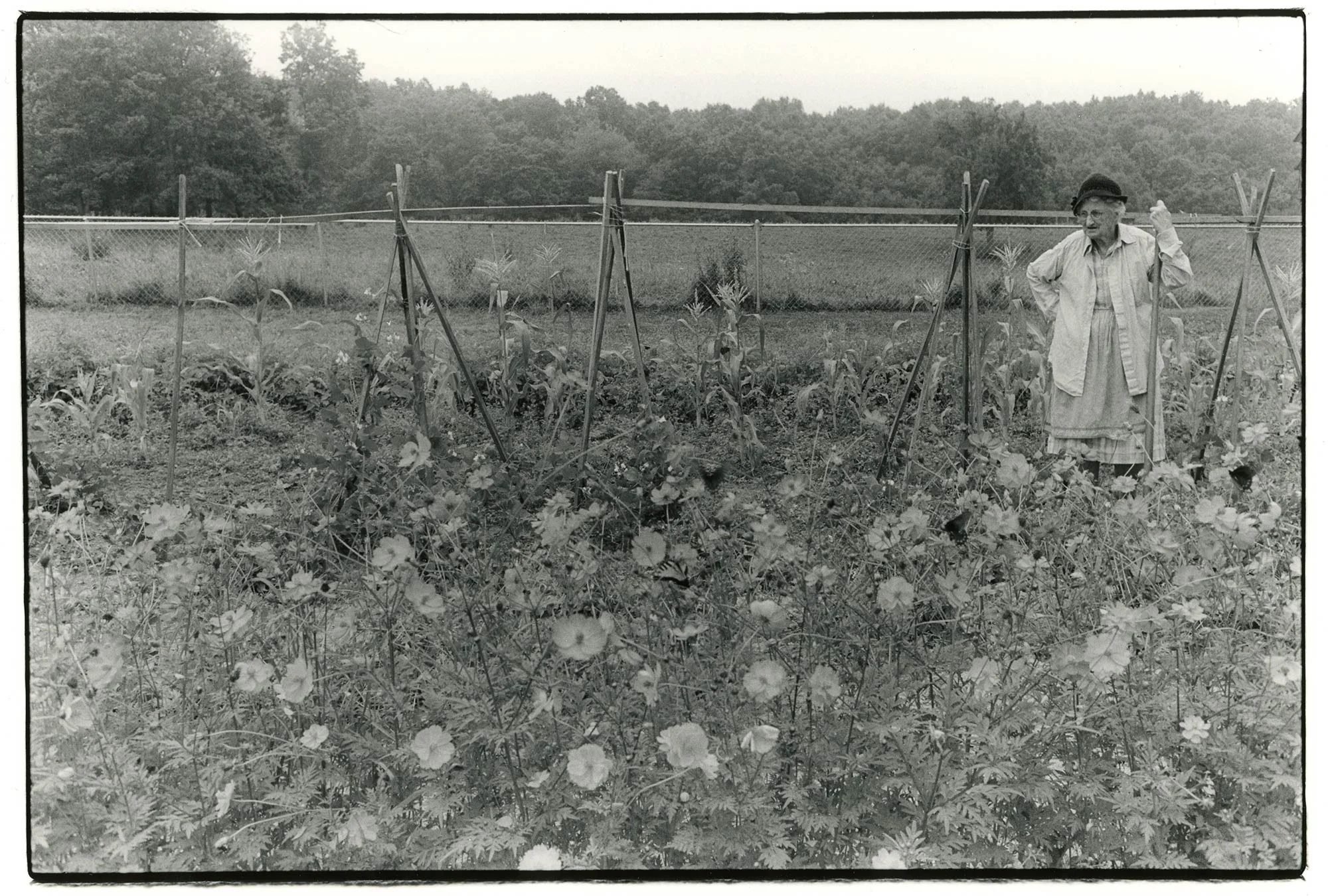 The-Last-Country-Ruth-in-garden.jpg