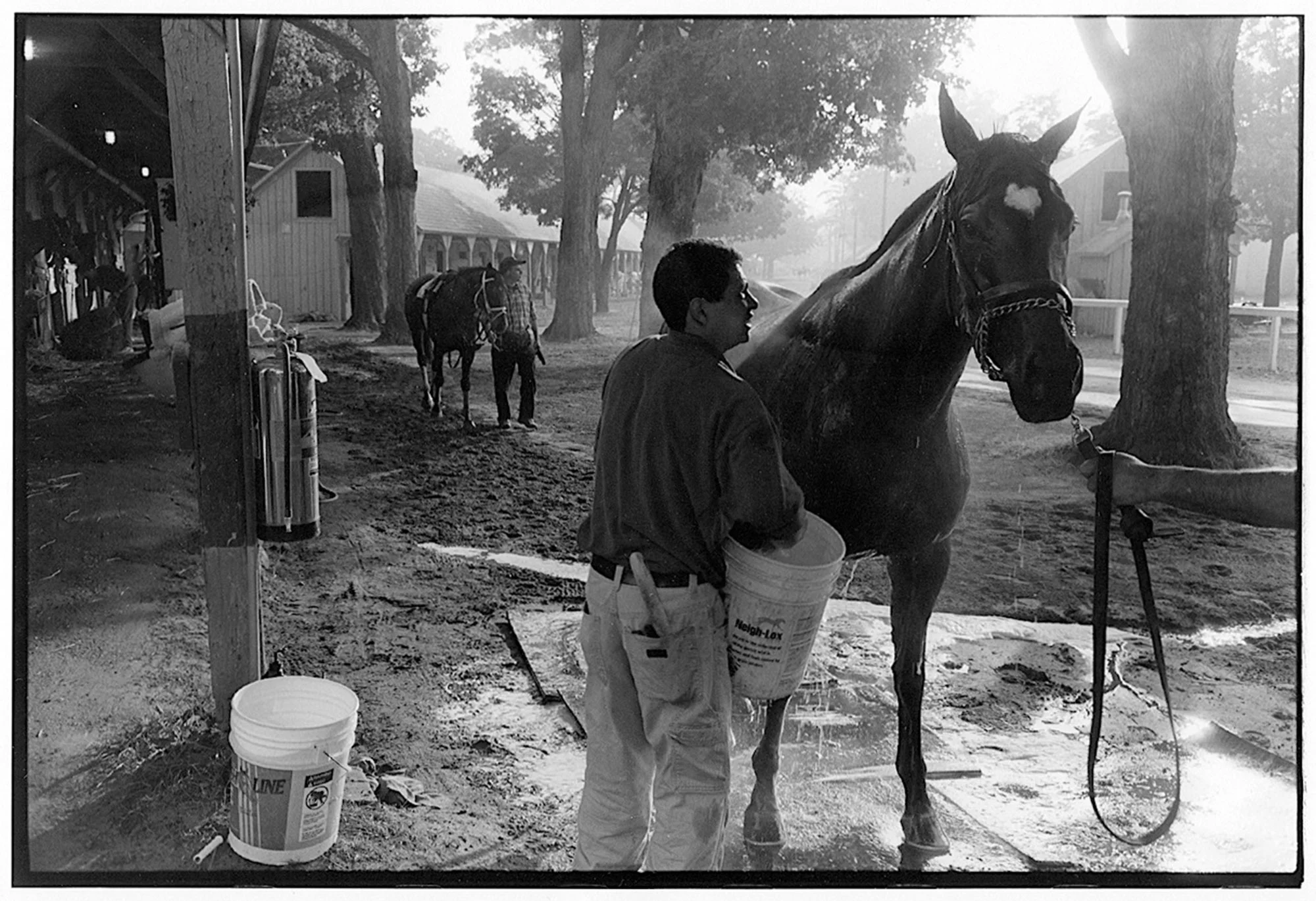 Backstretch-Chris.jpg