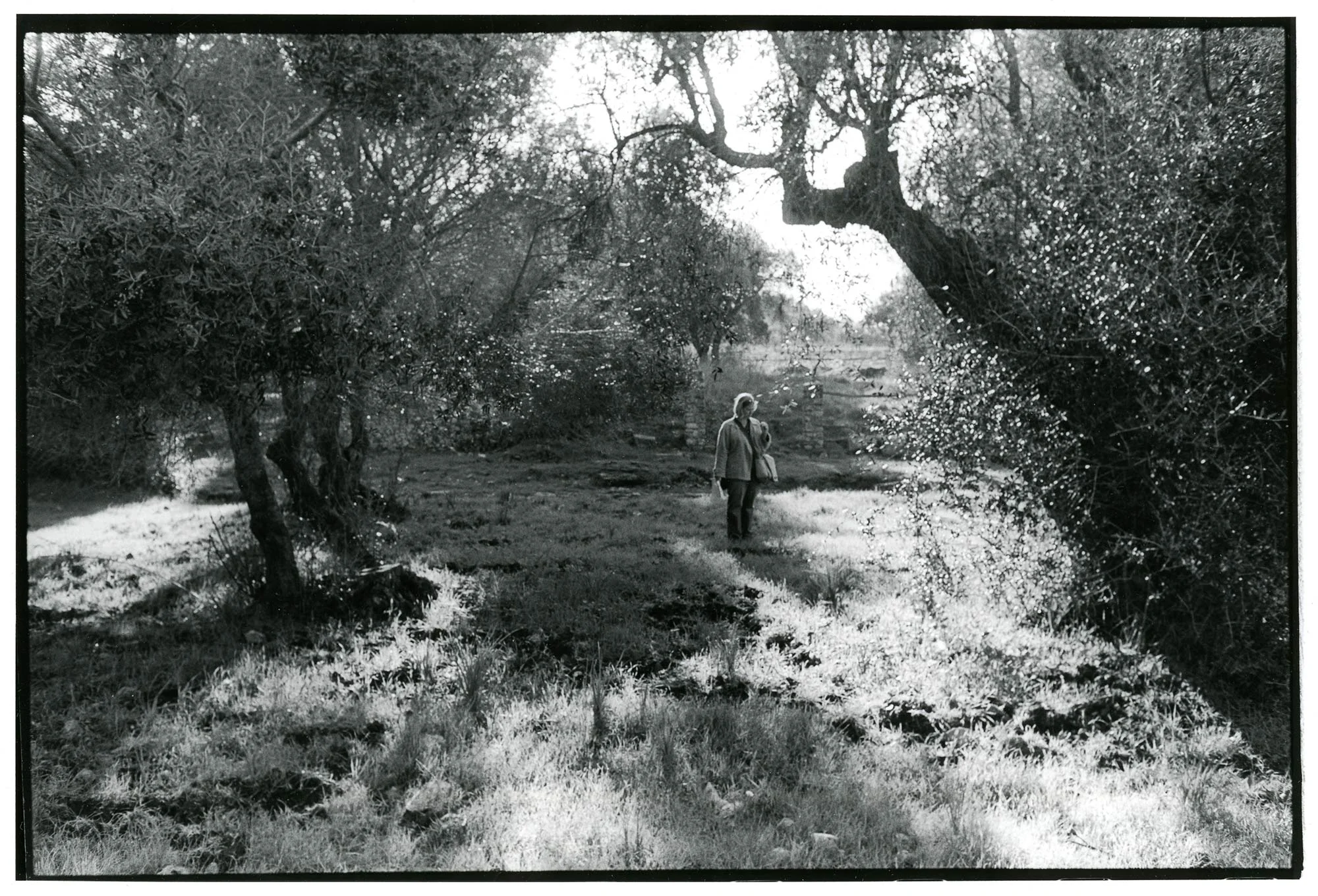 Roman-Holiday-estruscan-site.jpg