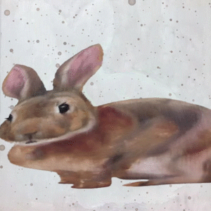 rabbit1.gif