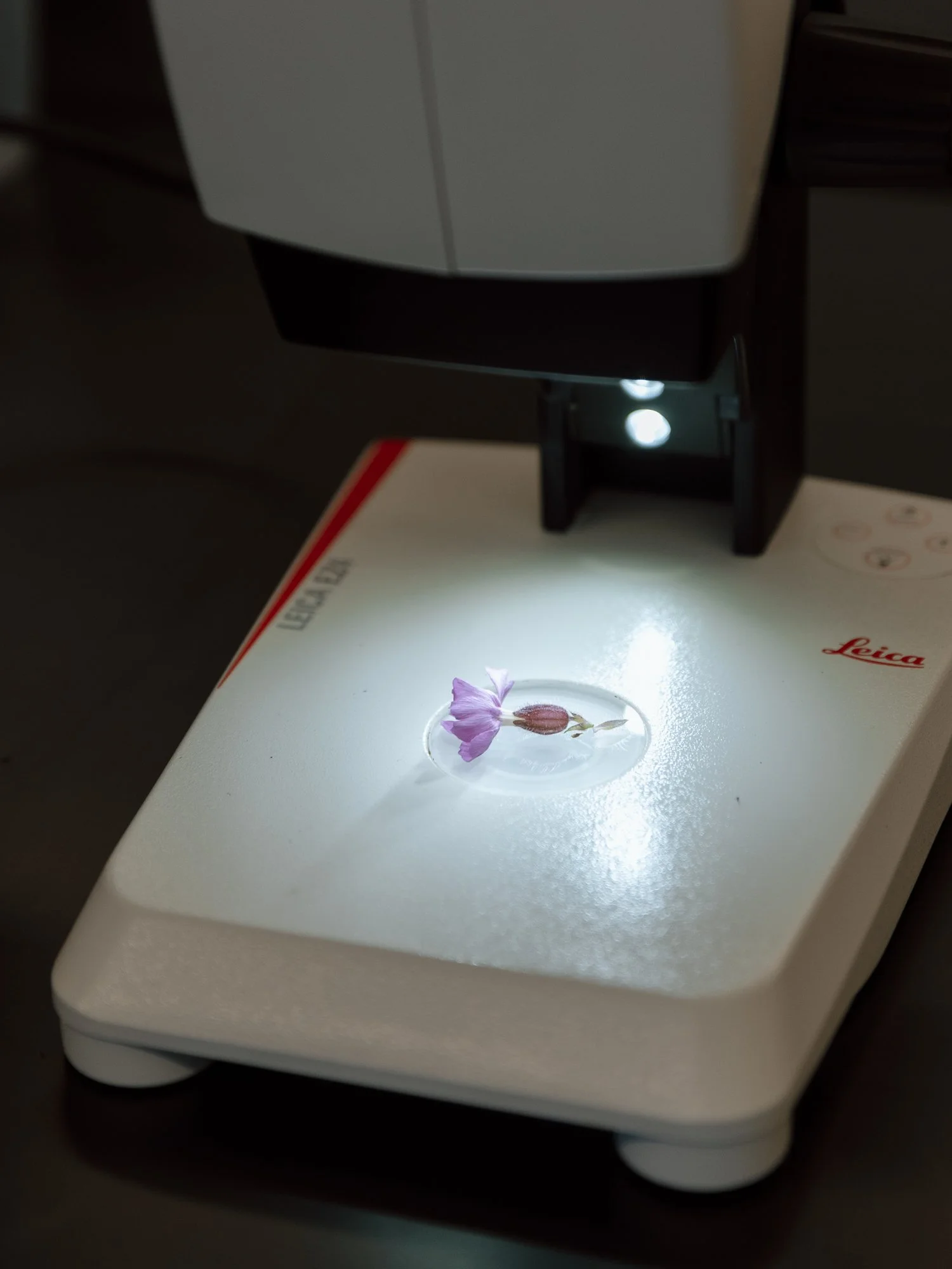 Shorelince CC cedar building opening-039.jpg