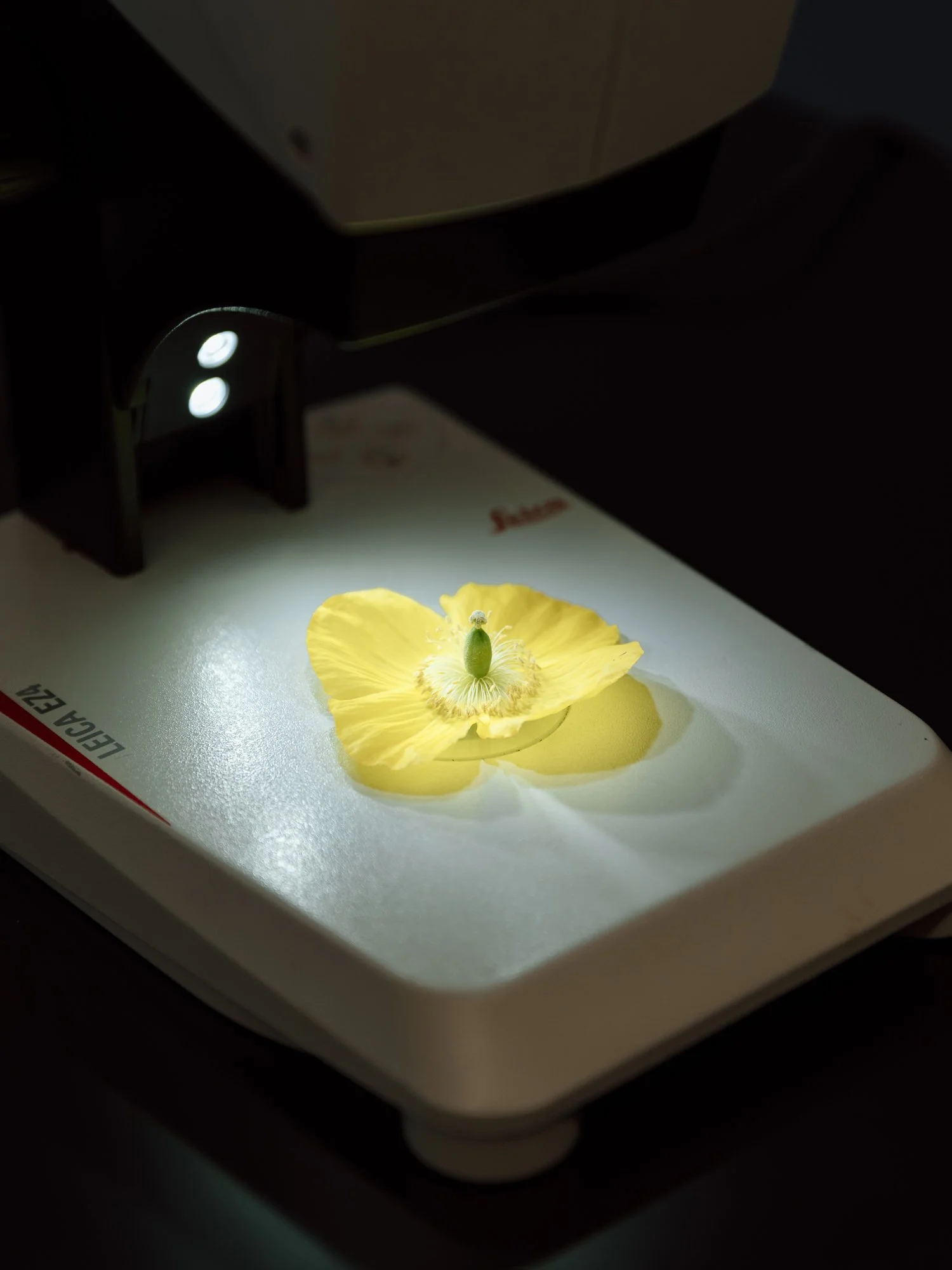 Shorelince CC cedar building opening-040.jpg