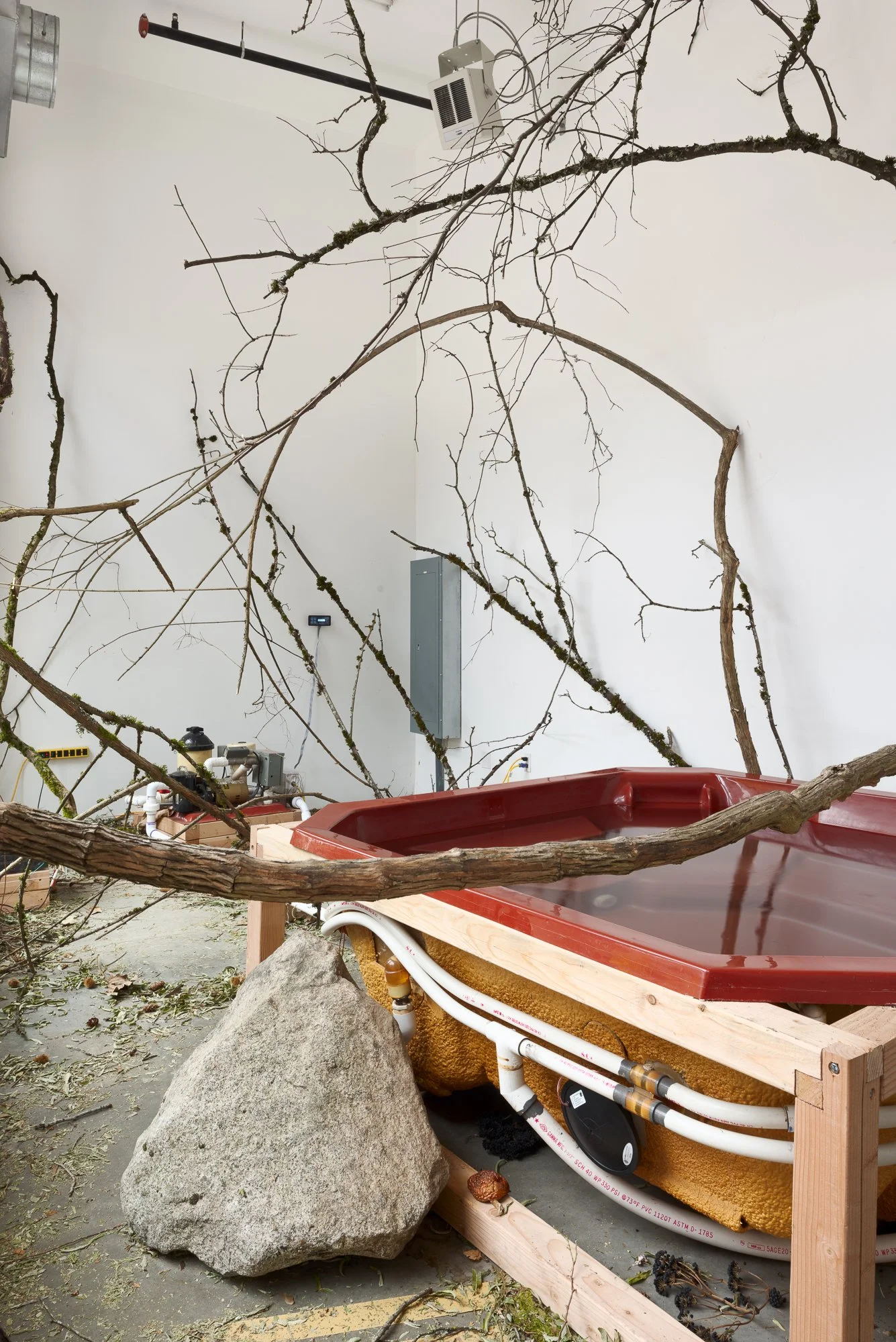 a hot tub, large tree branches and a boulder in a gallery