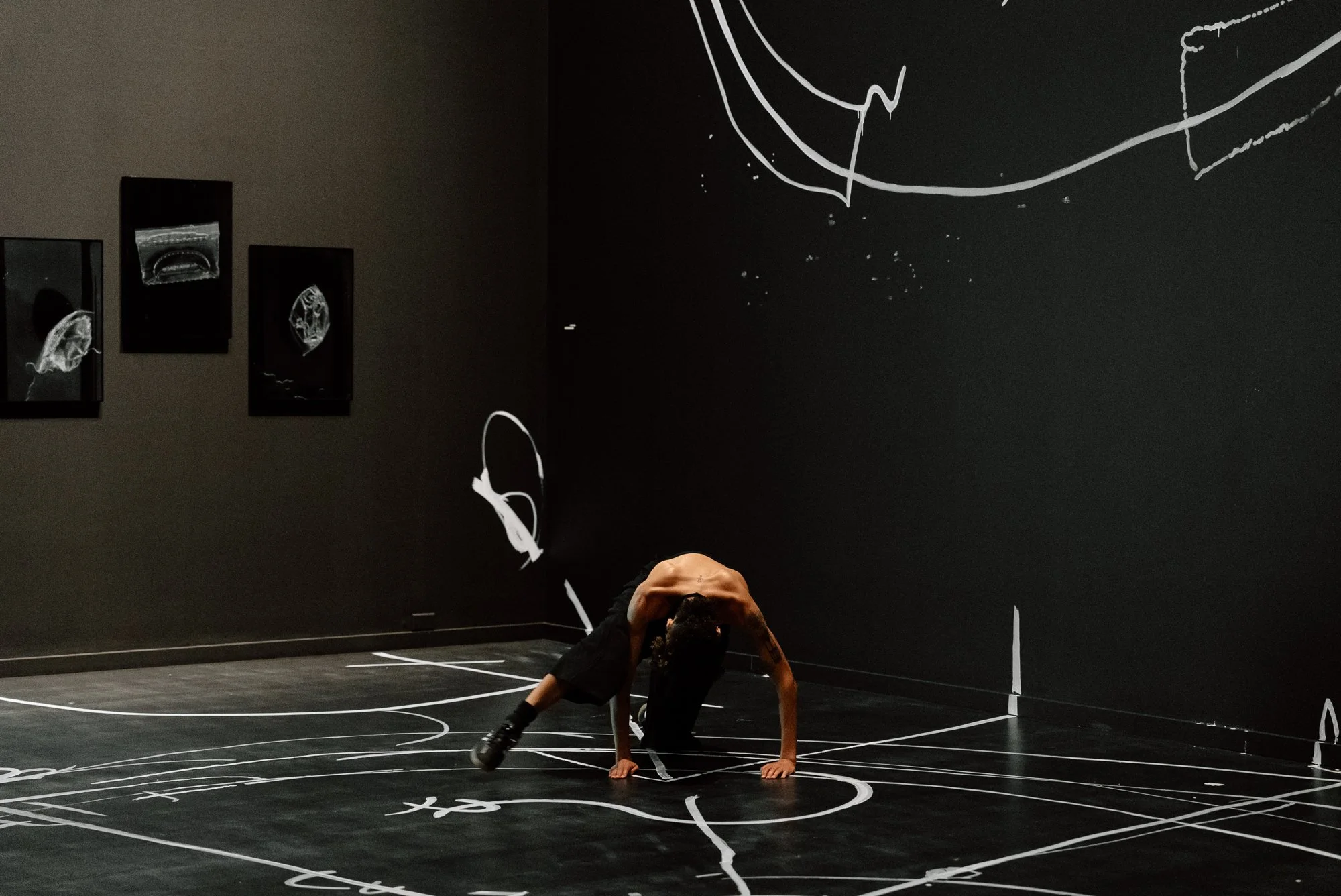 Akoiya Harris-16.jpg