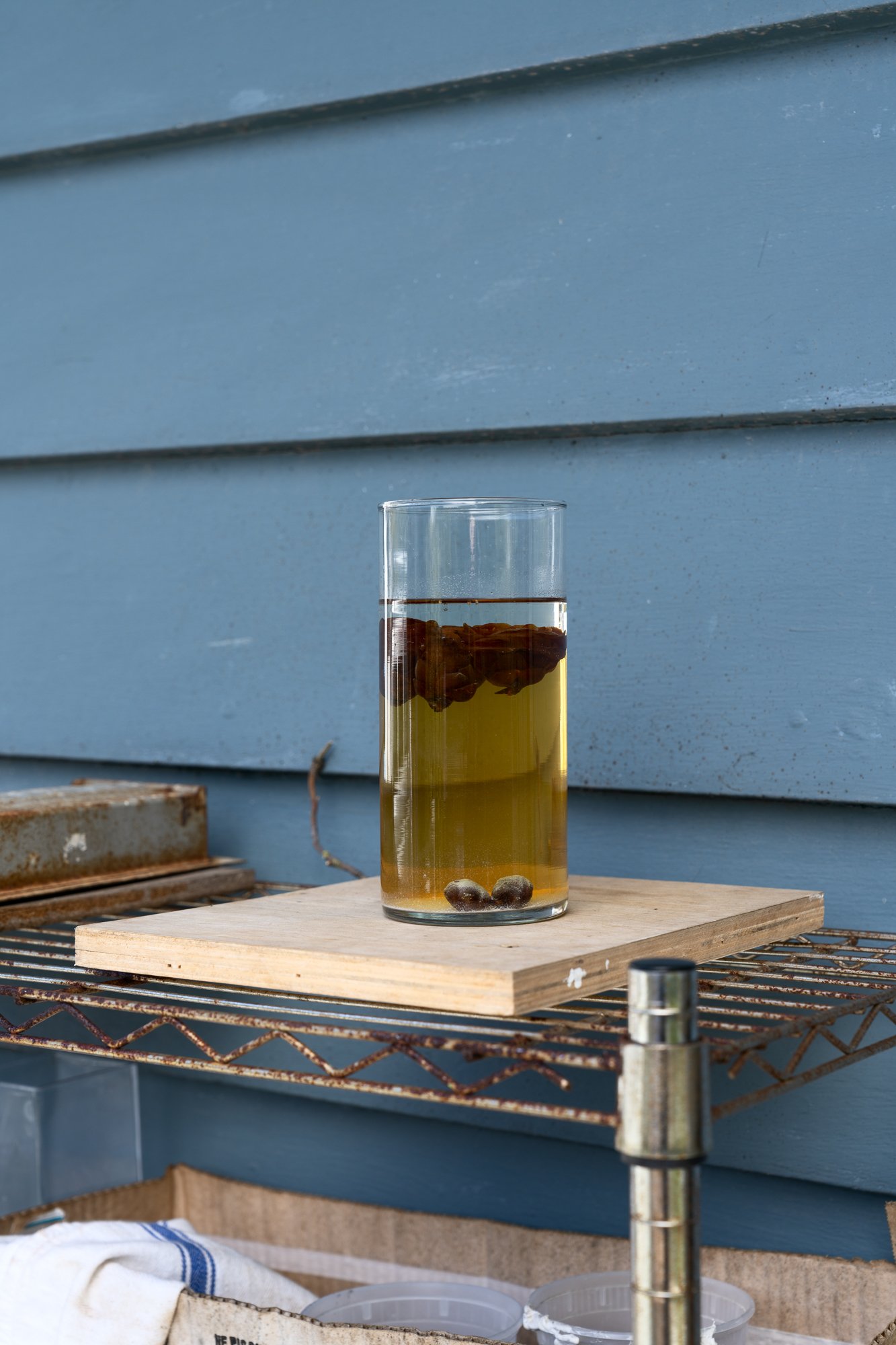 a glass vase with various substances on a wire shelf