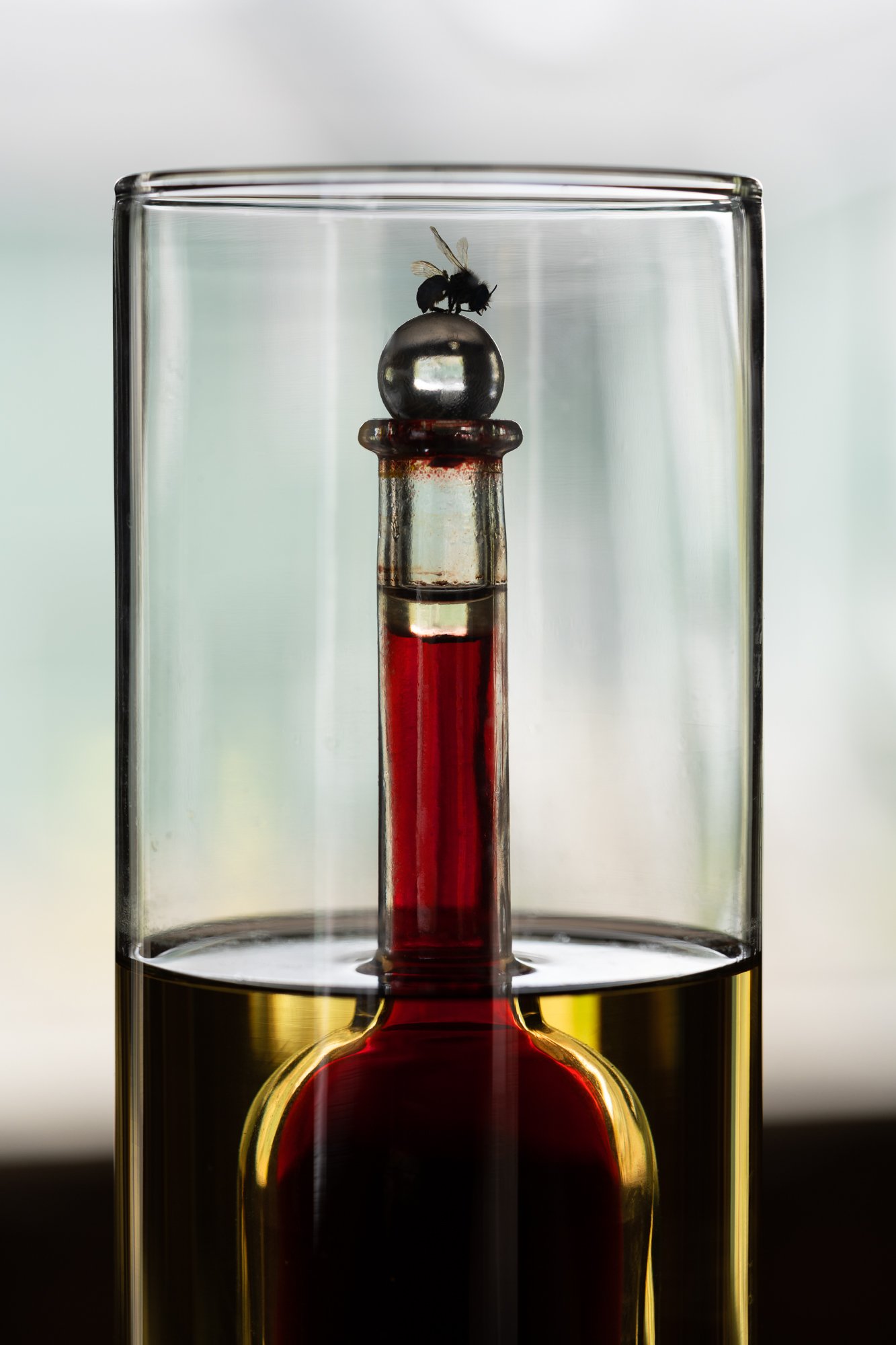 a sculpture made of glass vessels, colorful liquids and a dead fly