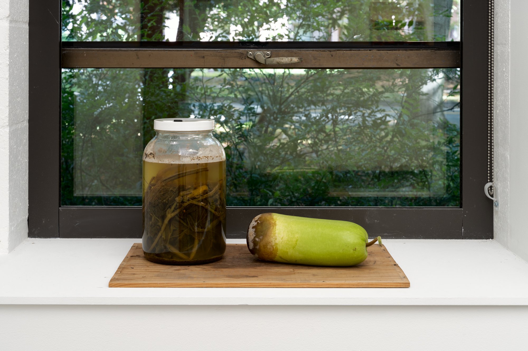 a jar of plant materials and a half-rotten gourd sitting on a cutting board on a window sill.