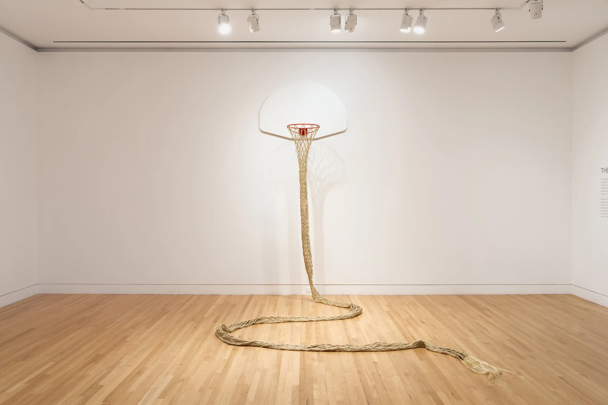 a basketball hoop with a super long net