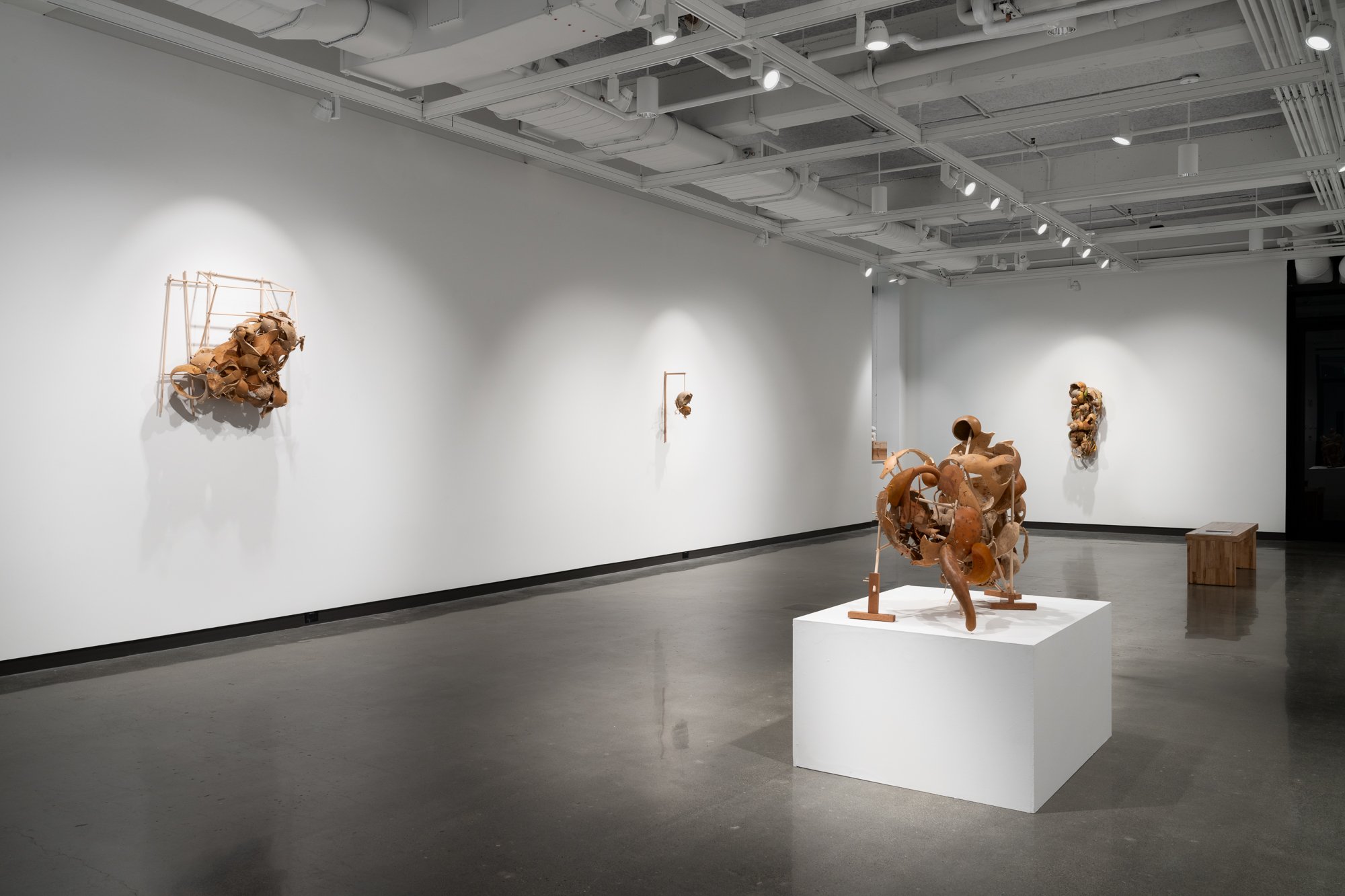 various sculptures in a gallery