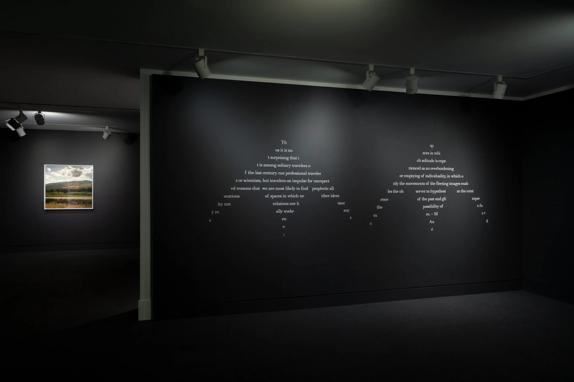 texts on a black wall in the shape of two birds