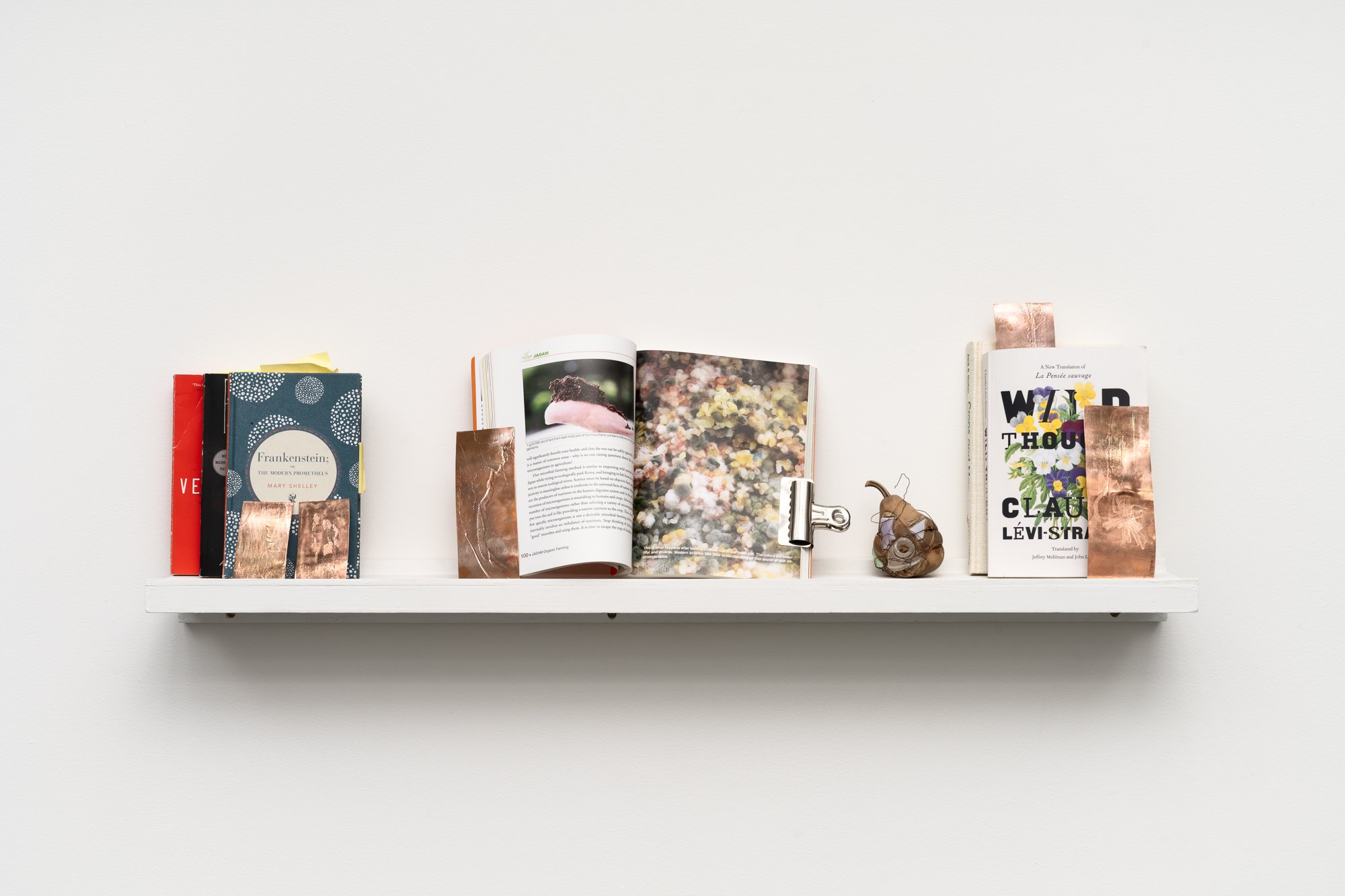 books and small sculptures on a white shelf