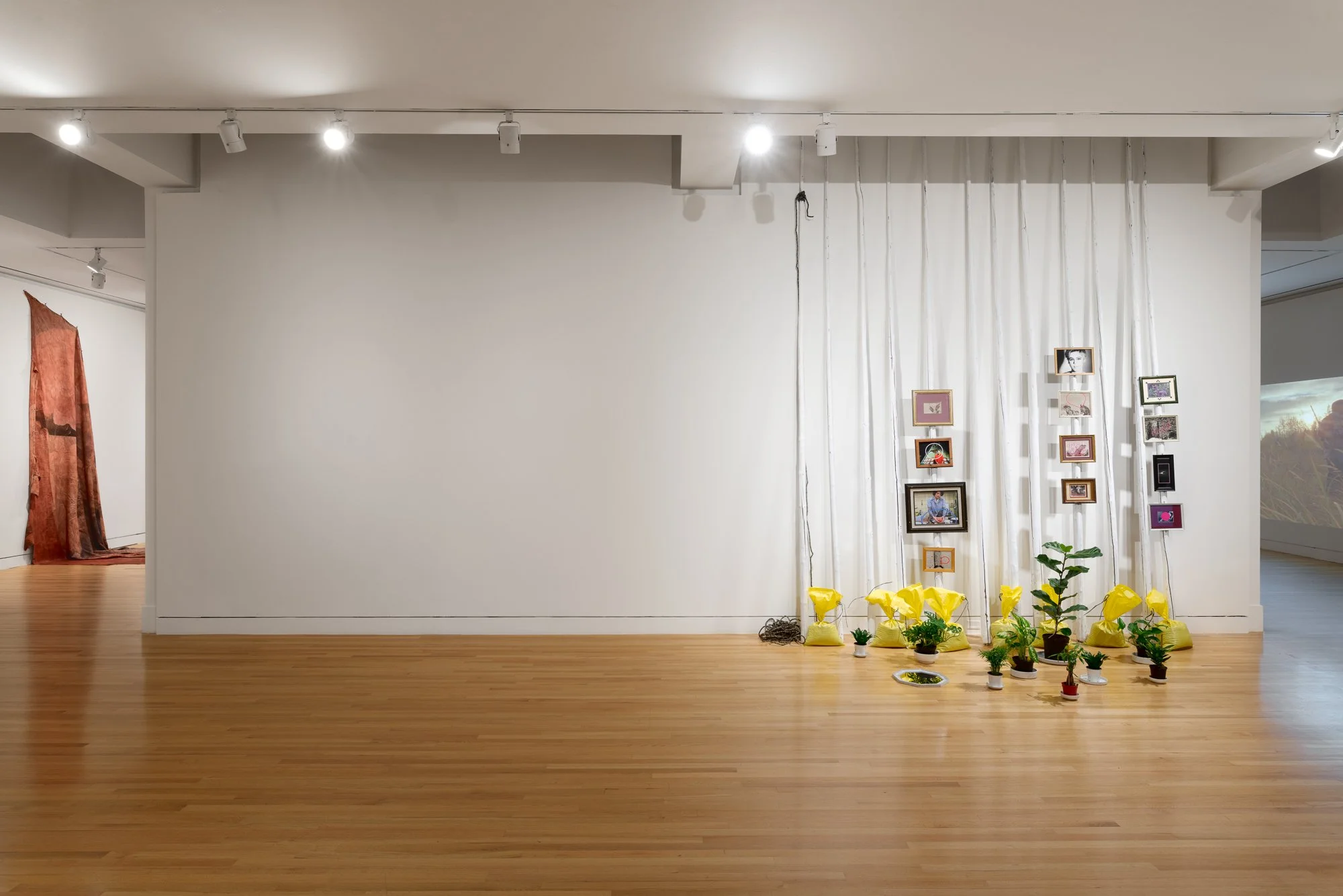 an art installation with white sticks, picture frames, plants and yellow bags