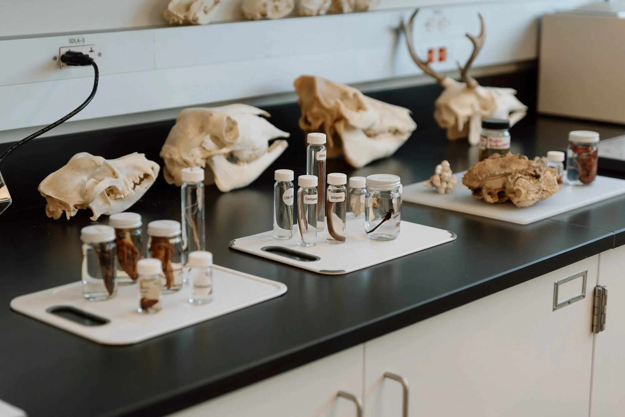 Shorelince CC cedar building opening-044.jpg