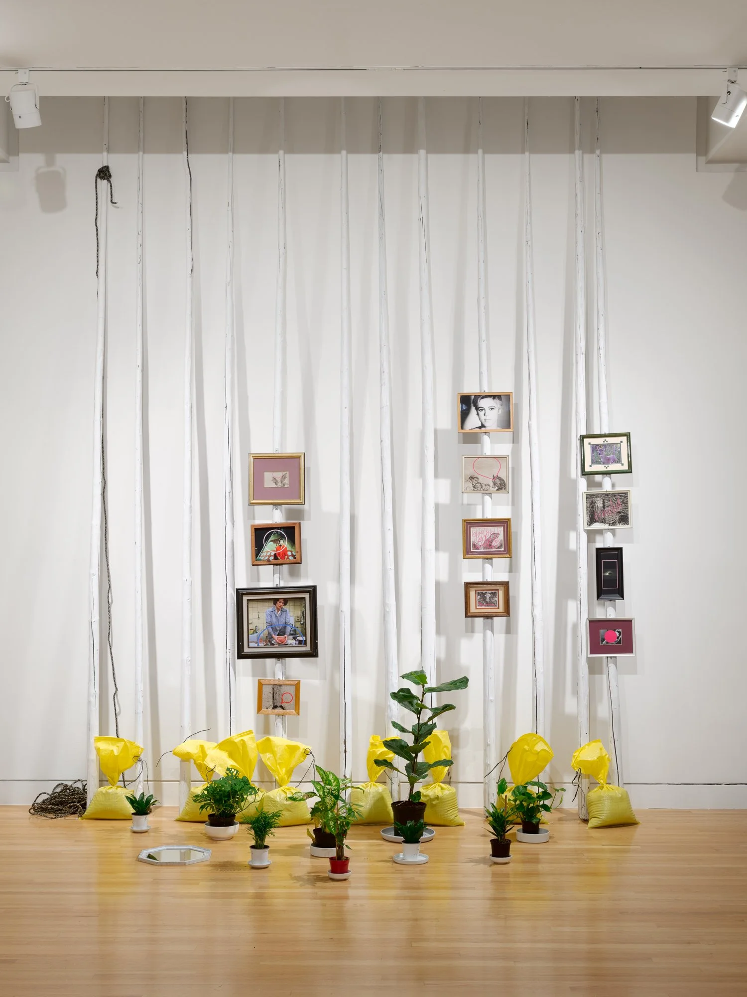 an art installation with white sticks, picture frames, plants and yellow bags
