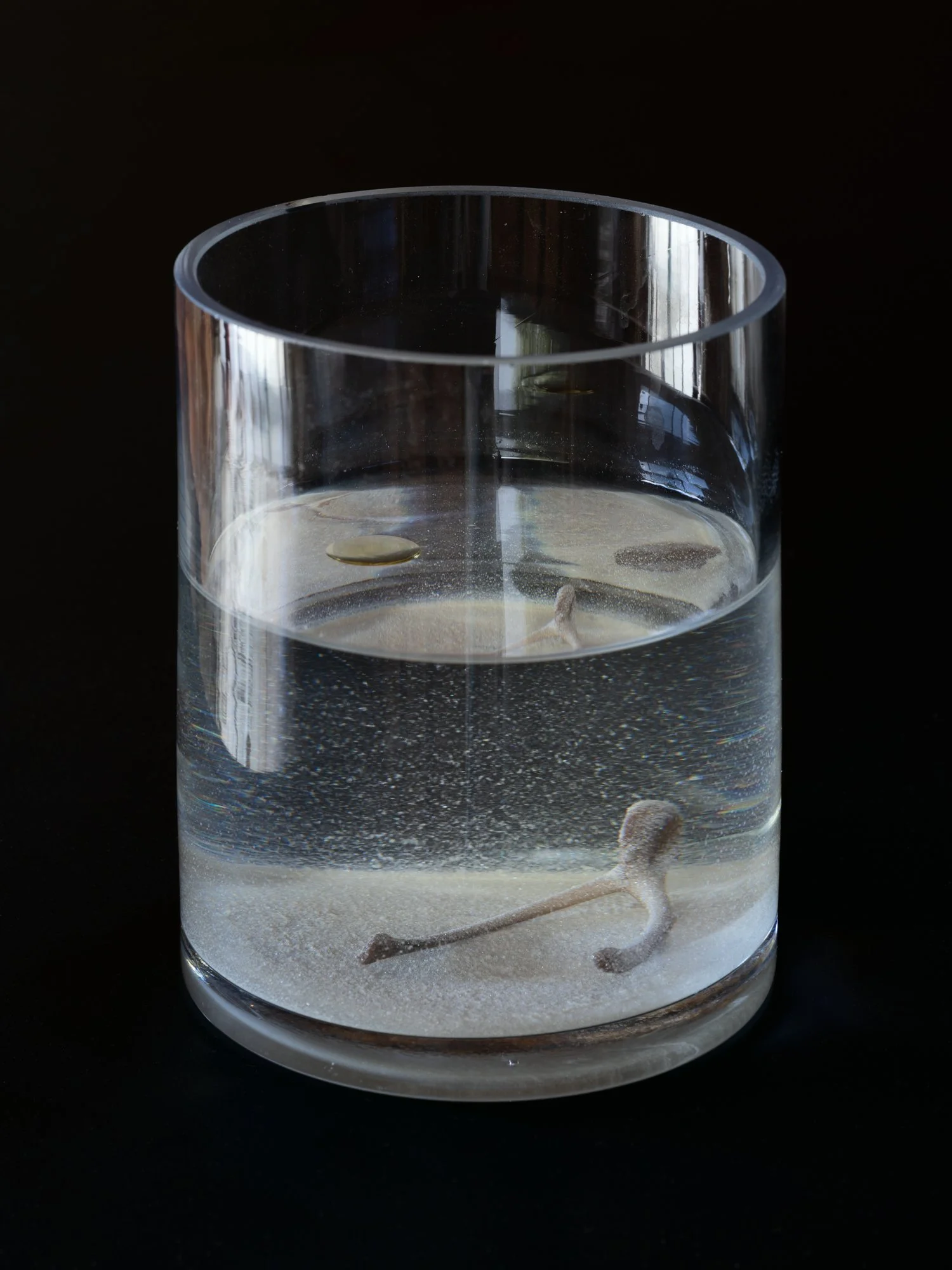 a glass vase with clear liquid and a wish bone