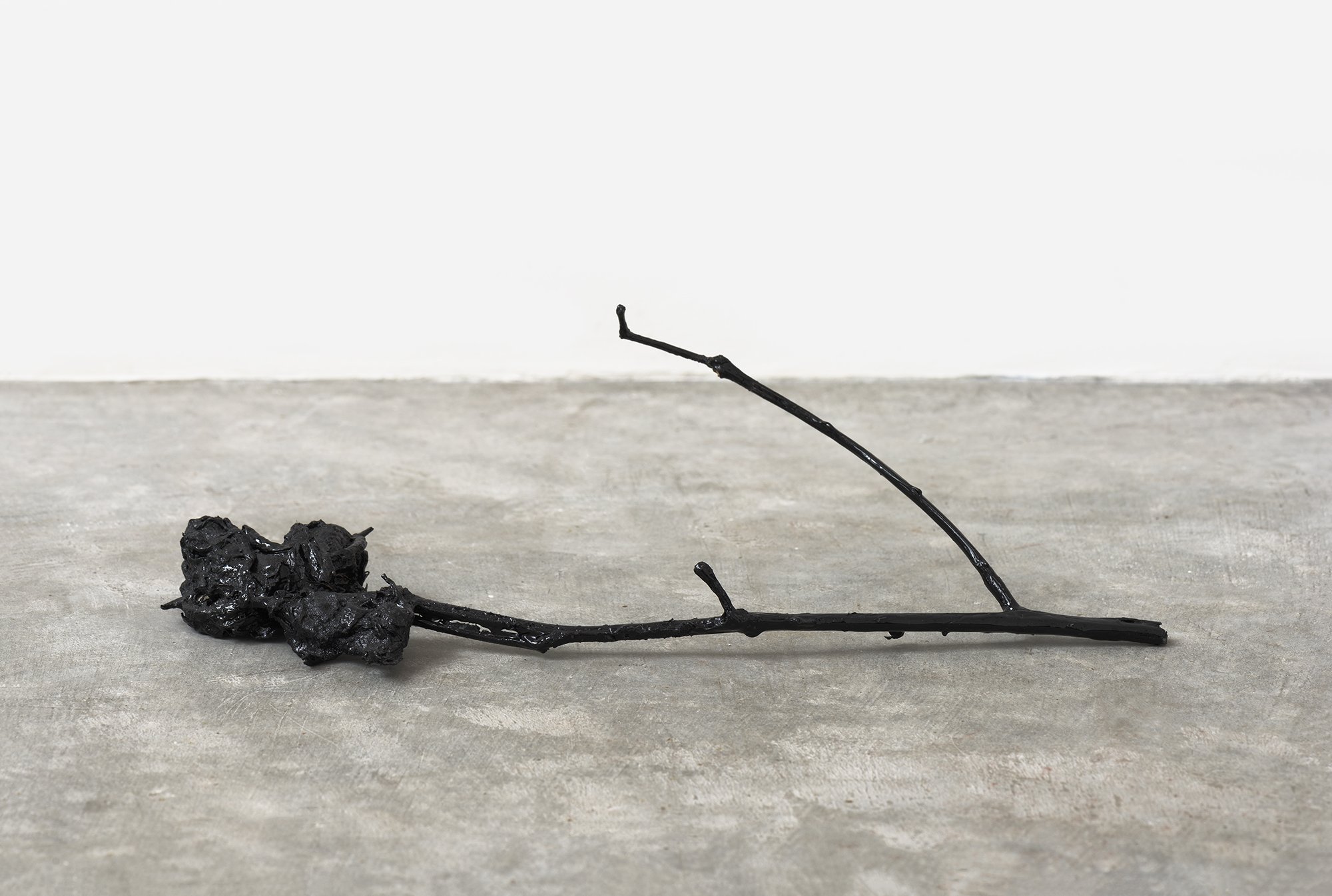 a cotton flower painted black