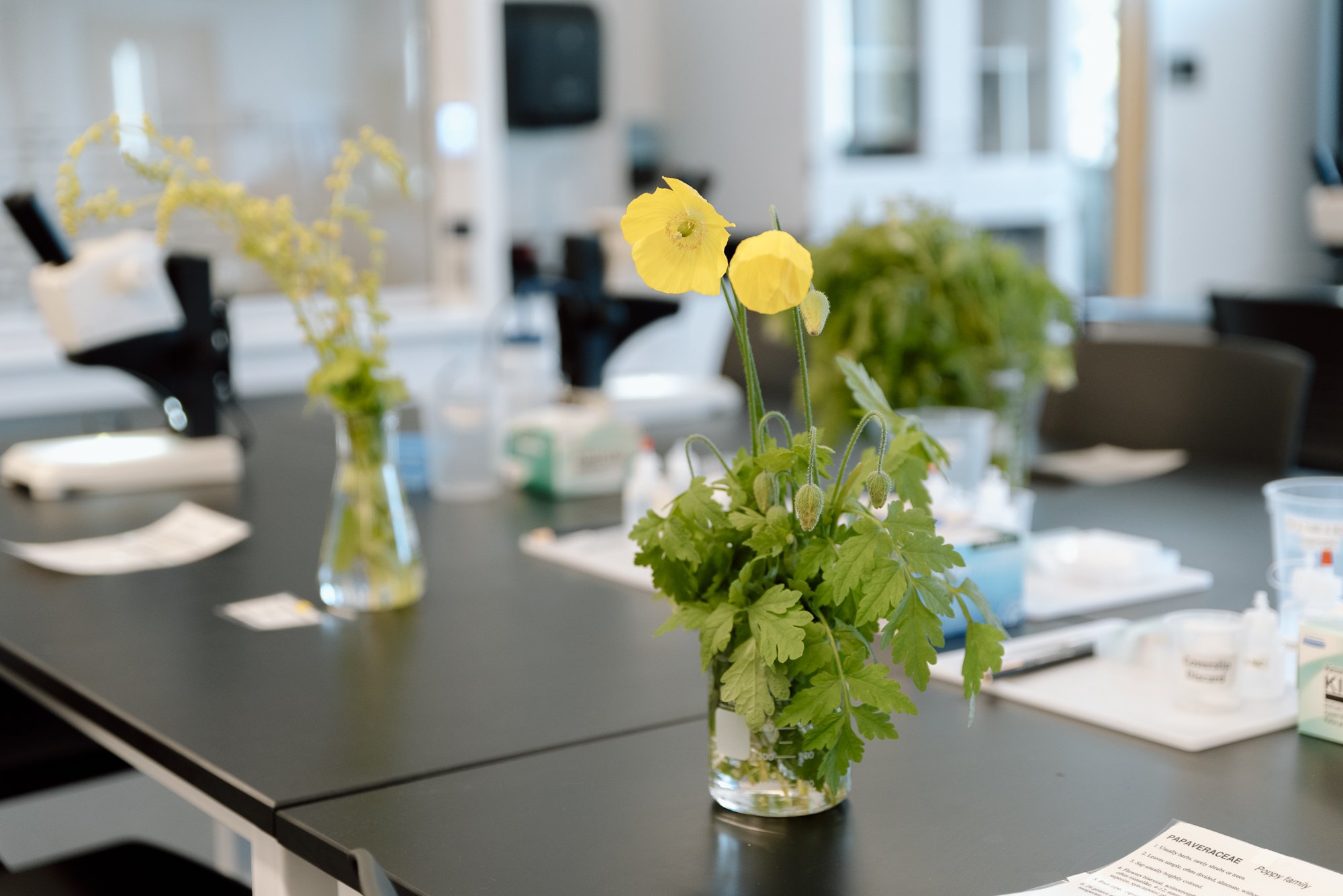 Shorelince CC cedar building opening-038.jpg