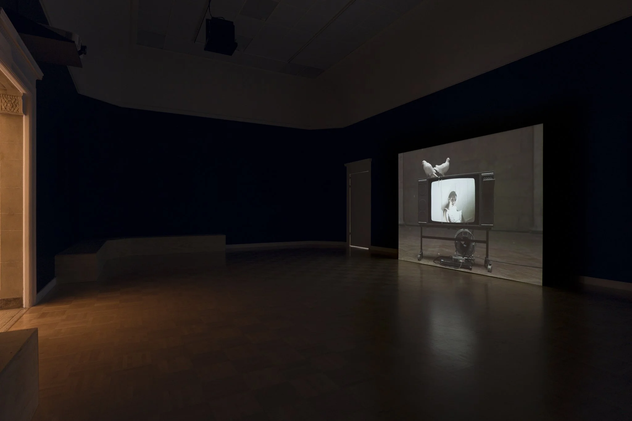 a projected video in a large dark room