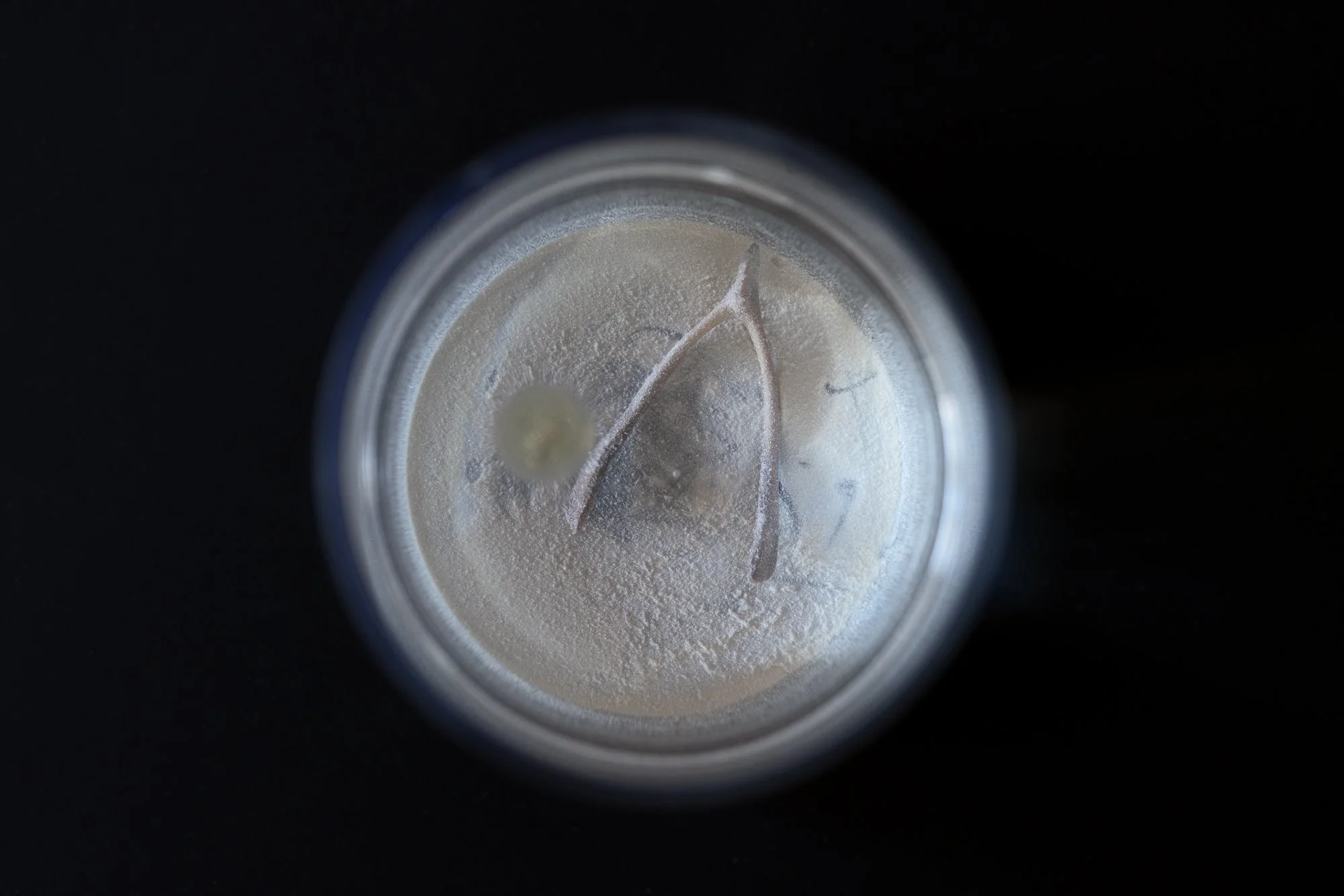 overhead view of a glass vase with clear liquid and a wish bone