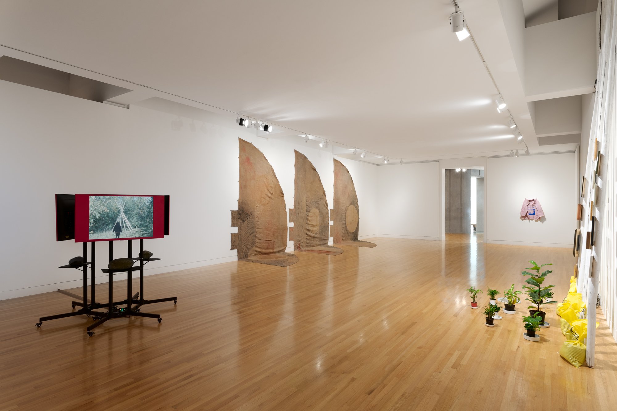 various artworks in a gallery