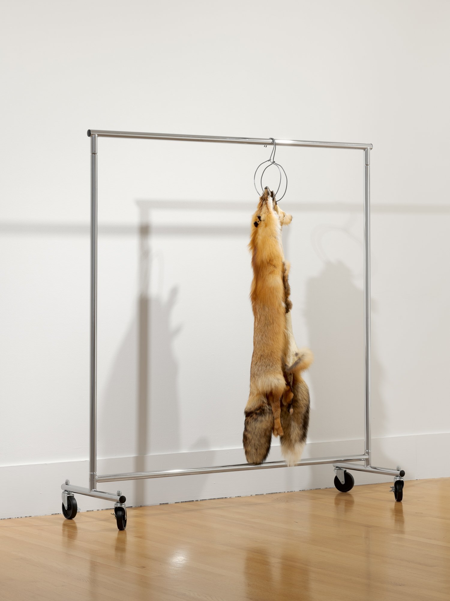 two fox skins hung on a clothes rack