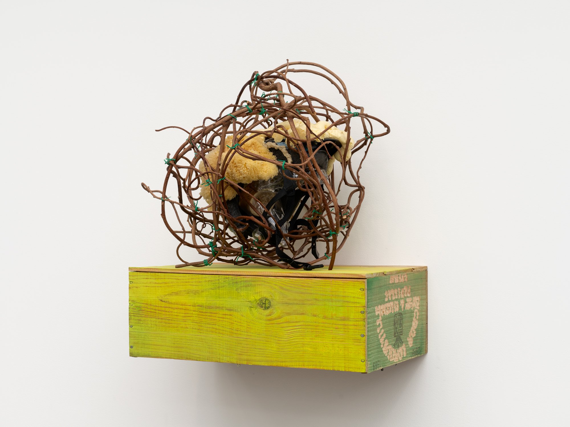 a multi-media sculpture on a white wall