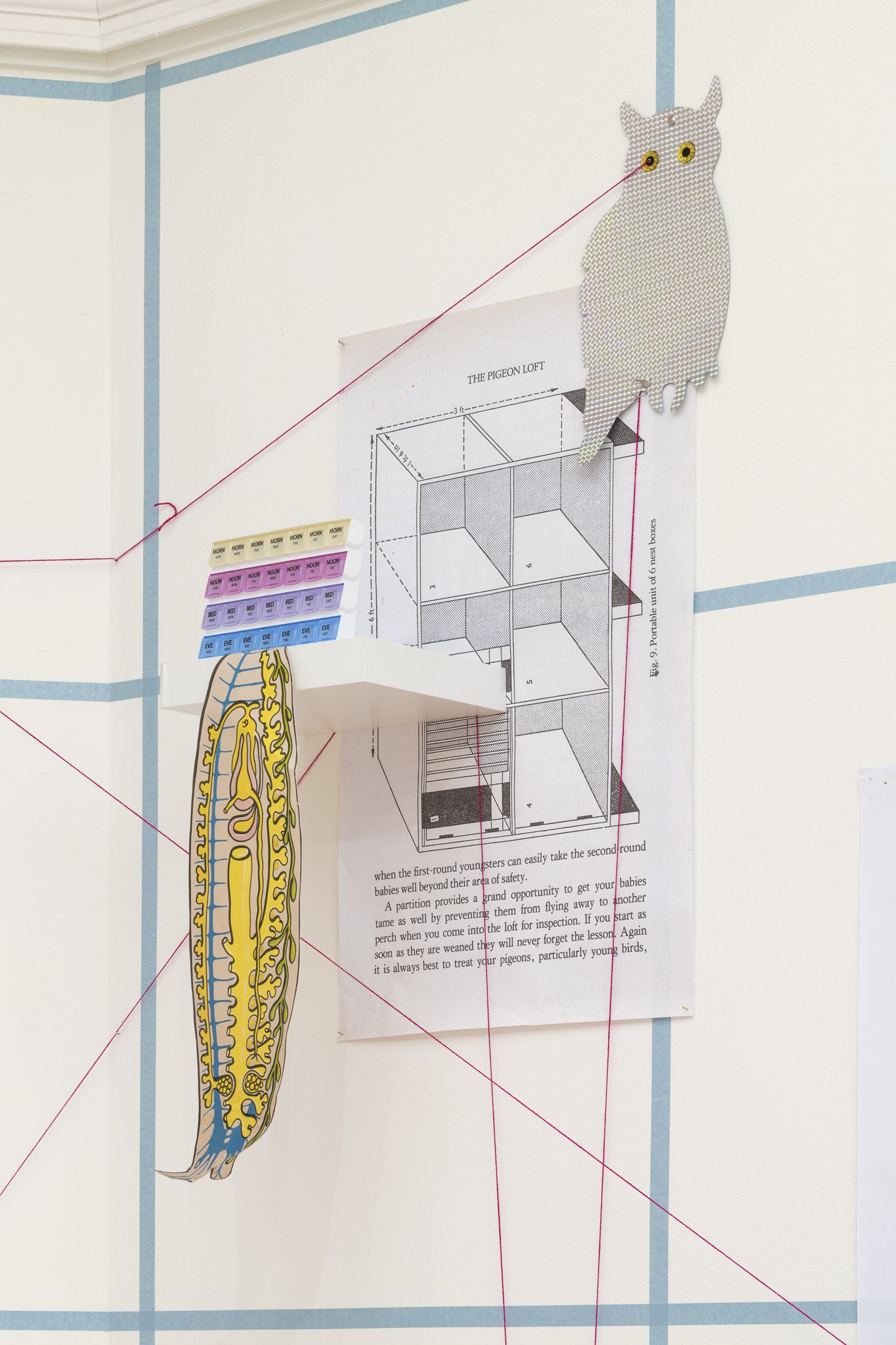 a collage of various images on the wall