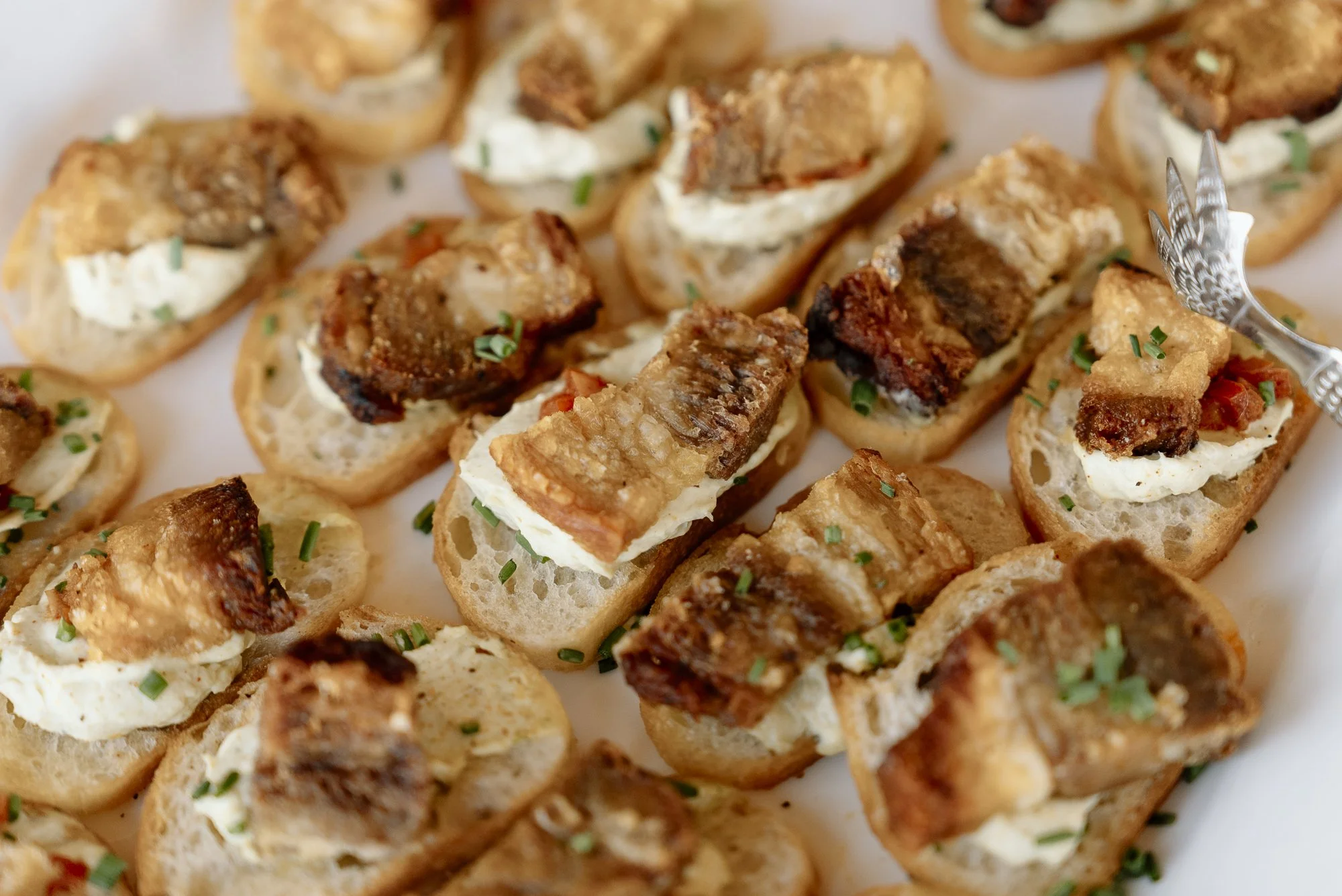 Seattle Symphony_Amplify Campaign Launcg-014.jpg