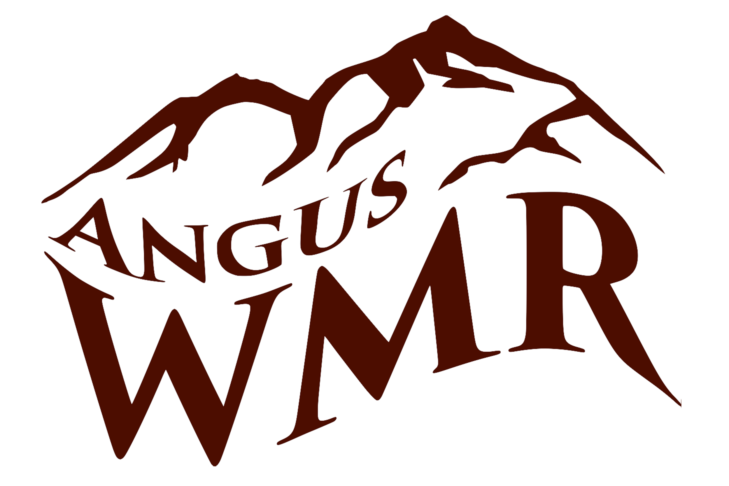 WMR logo with stroke.png