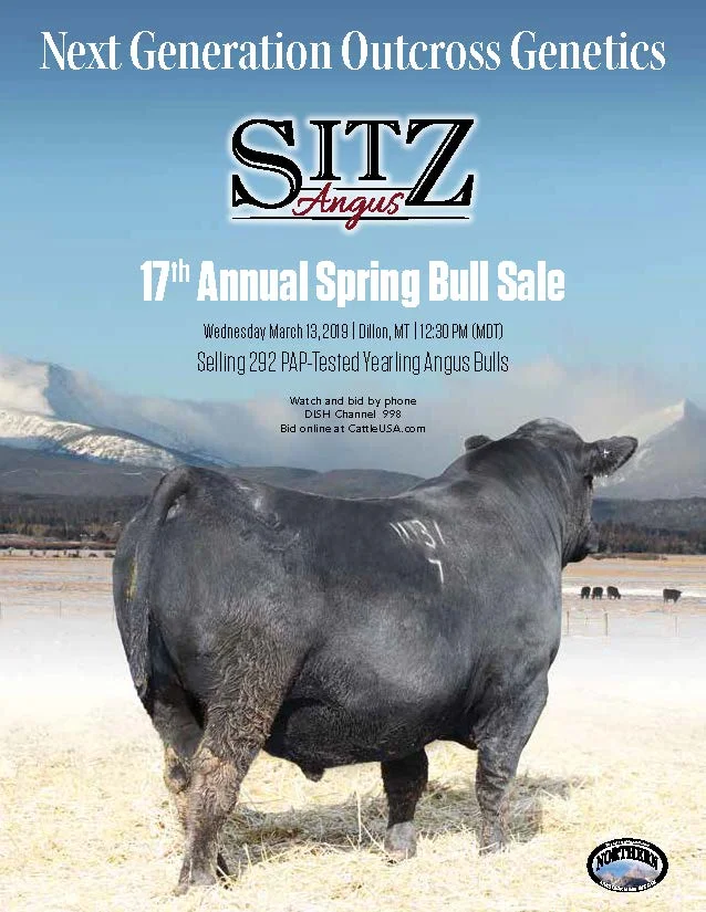 2019-spring-sale-catalog-cover.jpg
