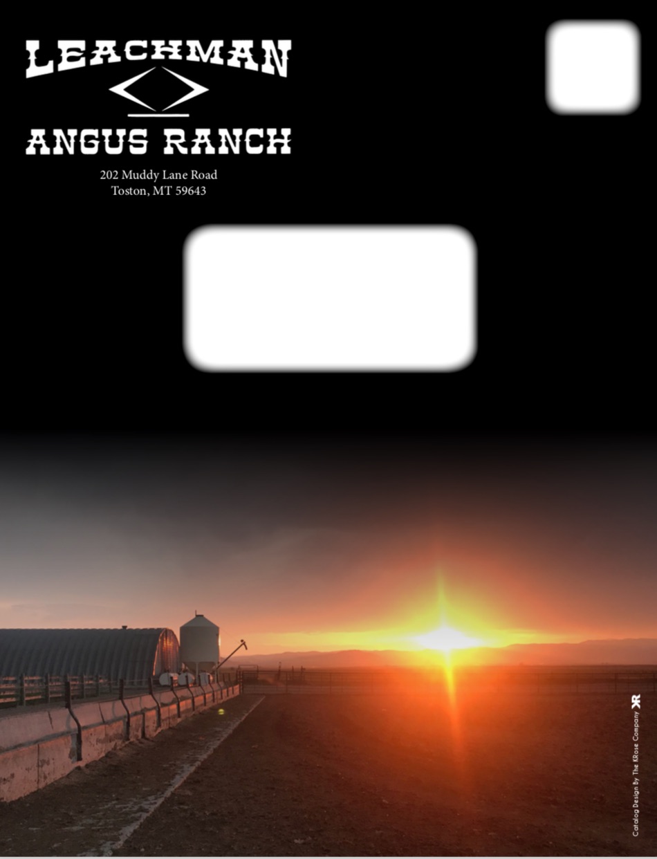leachman back page.jpg