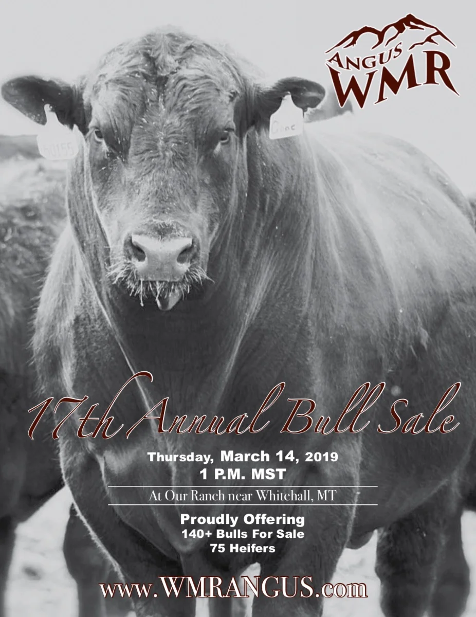 wmr cover.jpg