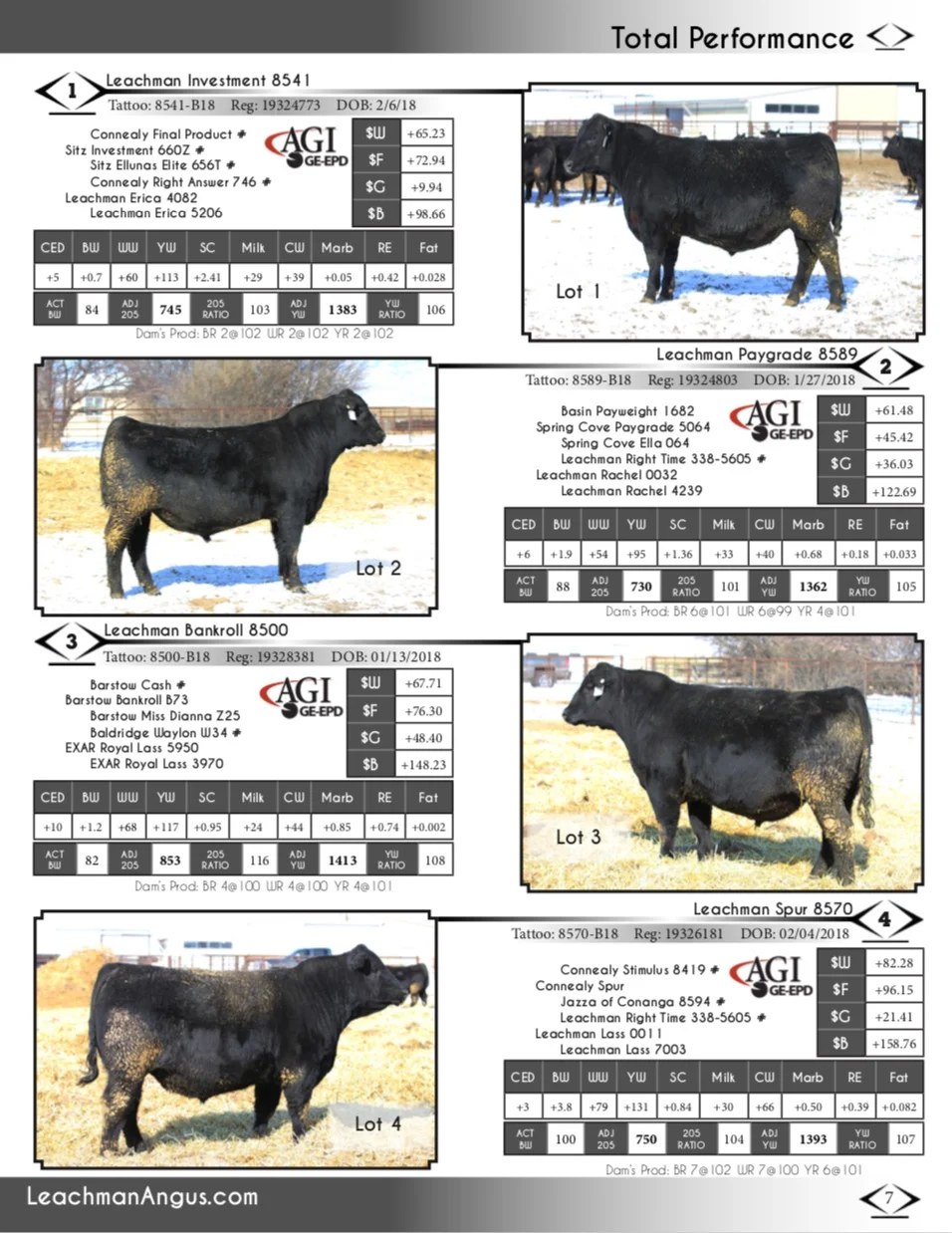 leachman lot page1.jpg