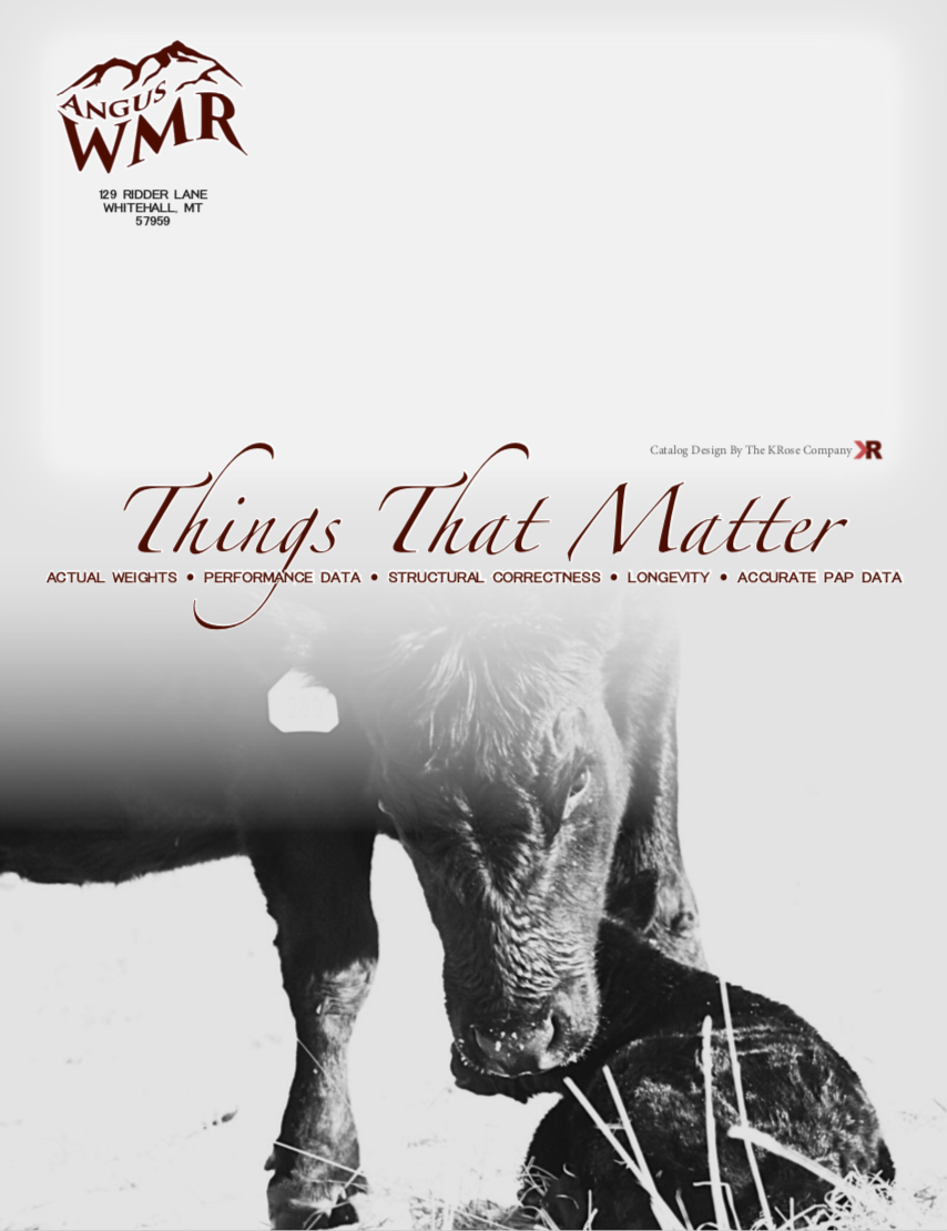 wmr back.png