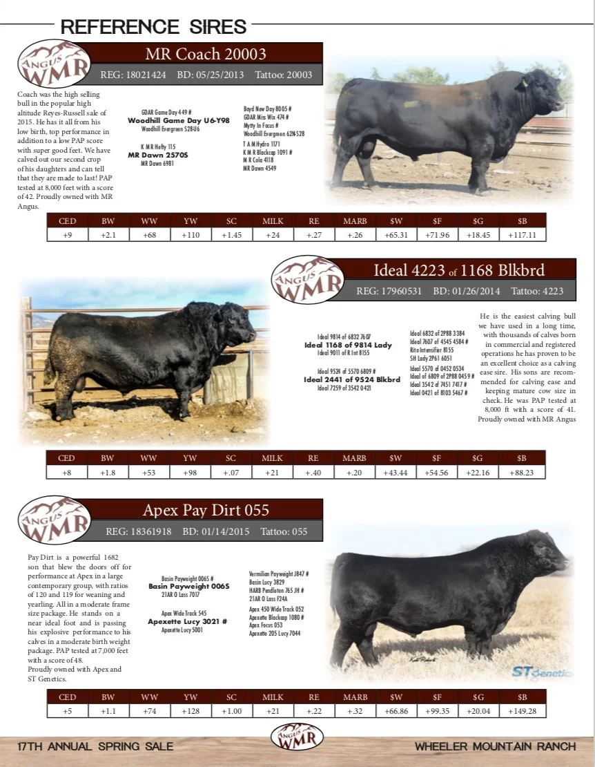 wmr sires.jpg