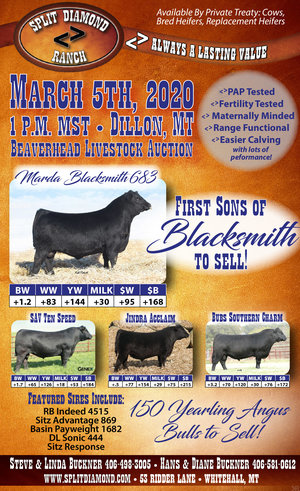 SD+Stockgrowers+Association+Full+Page+Ad+Final.jpg