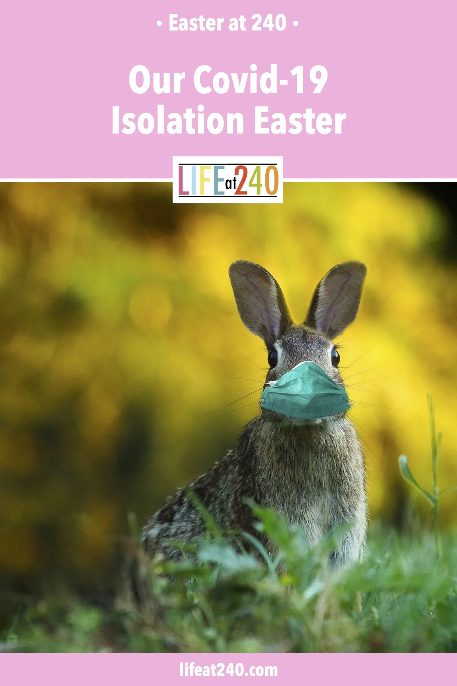 Our Covid-19 Isolation Easter