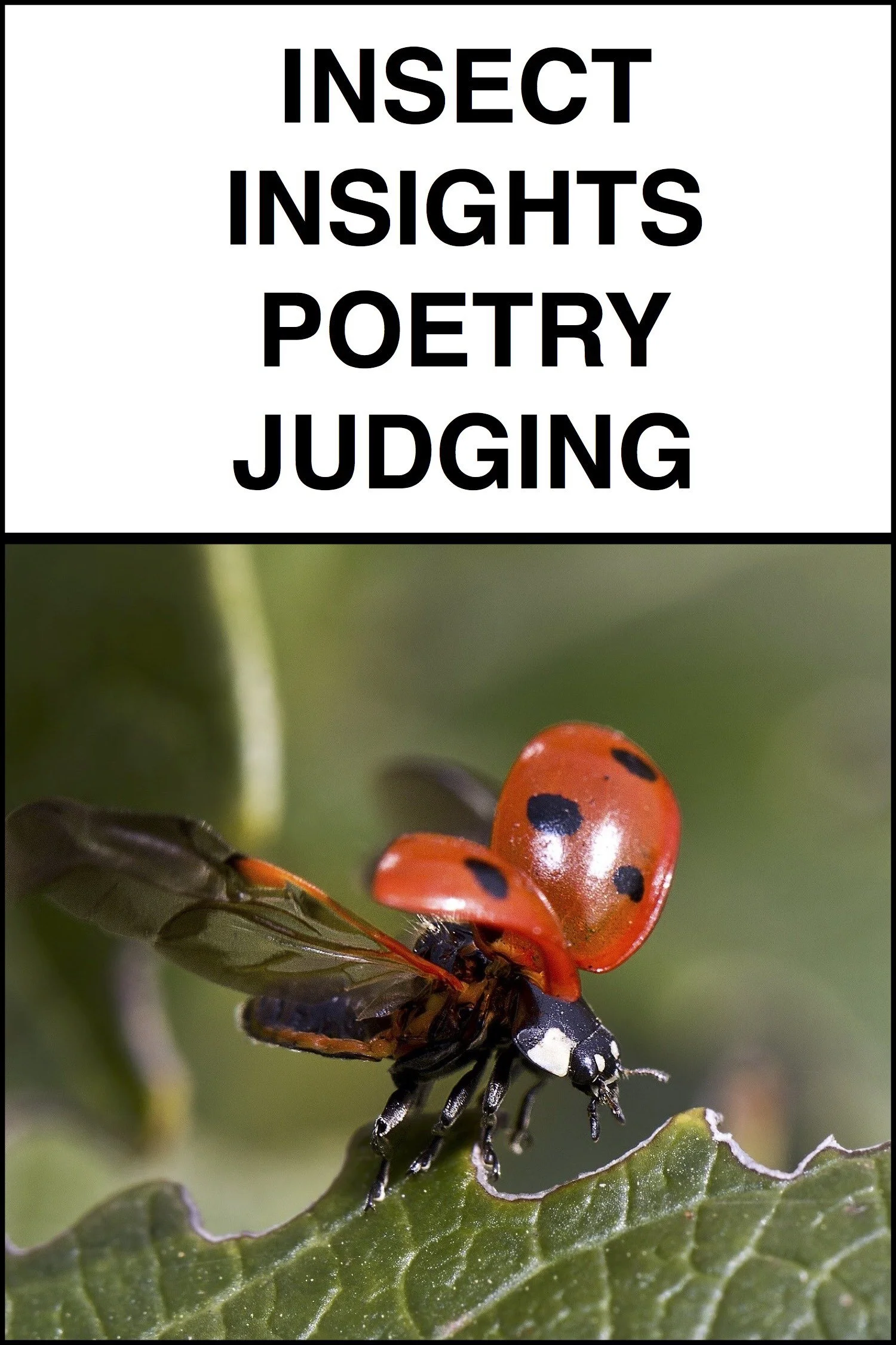 Insect Insights Poetry Judging