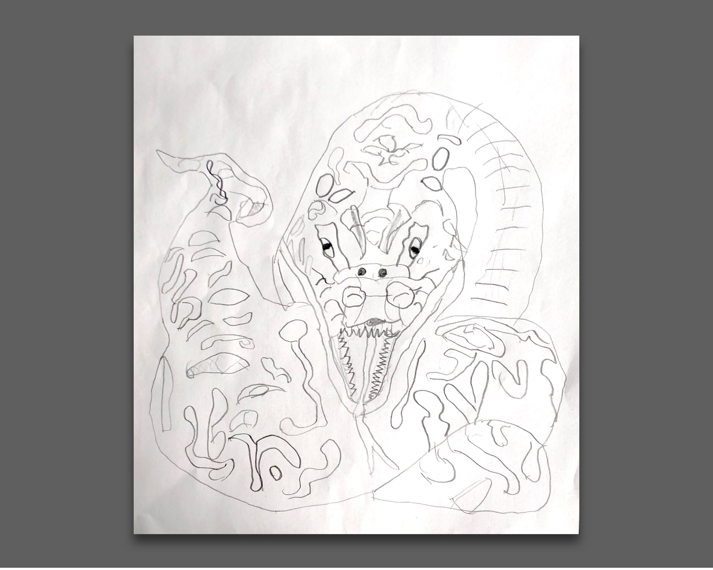 SOLD: A Snake’s Silent Satisfaction
